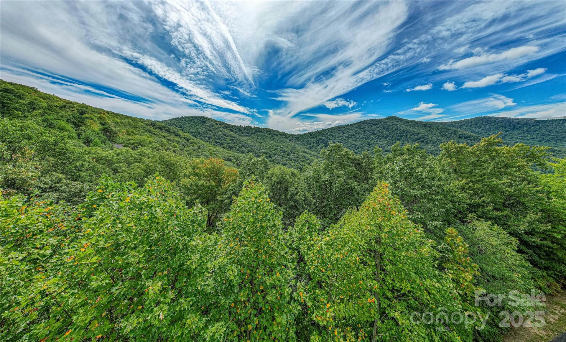 579 Bluemist Way - Photo 5