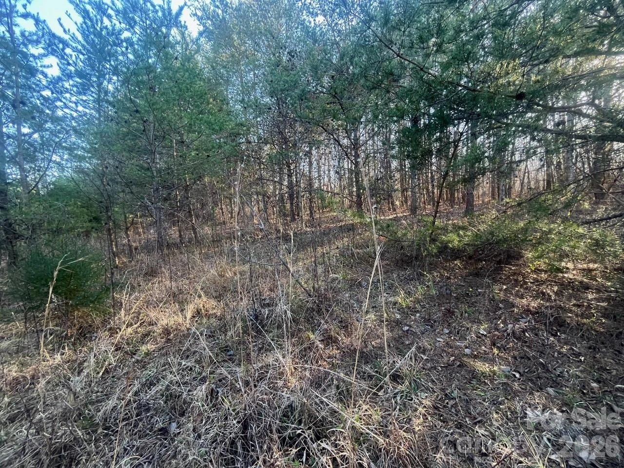 V/L Southern Way - Photo 18