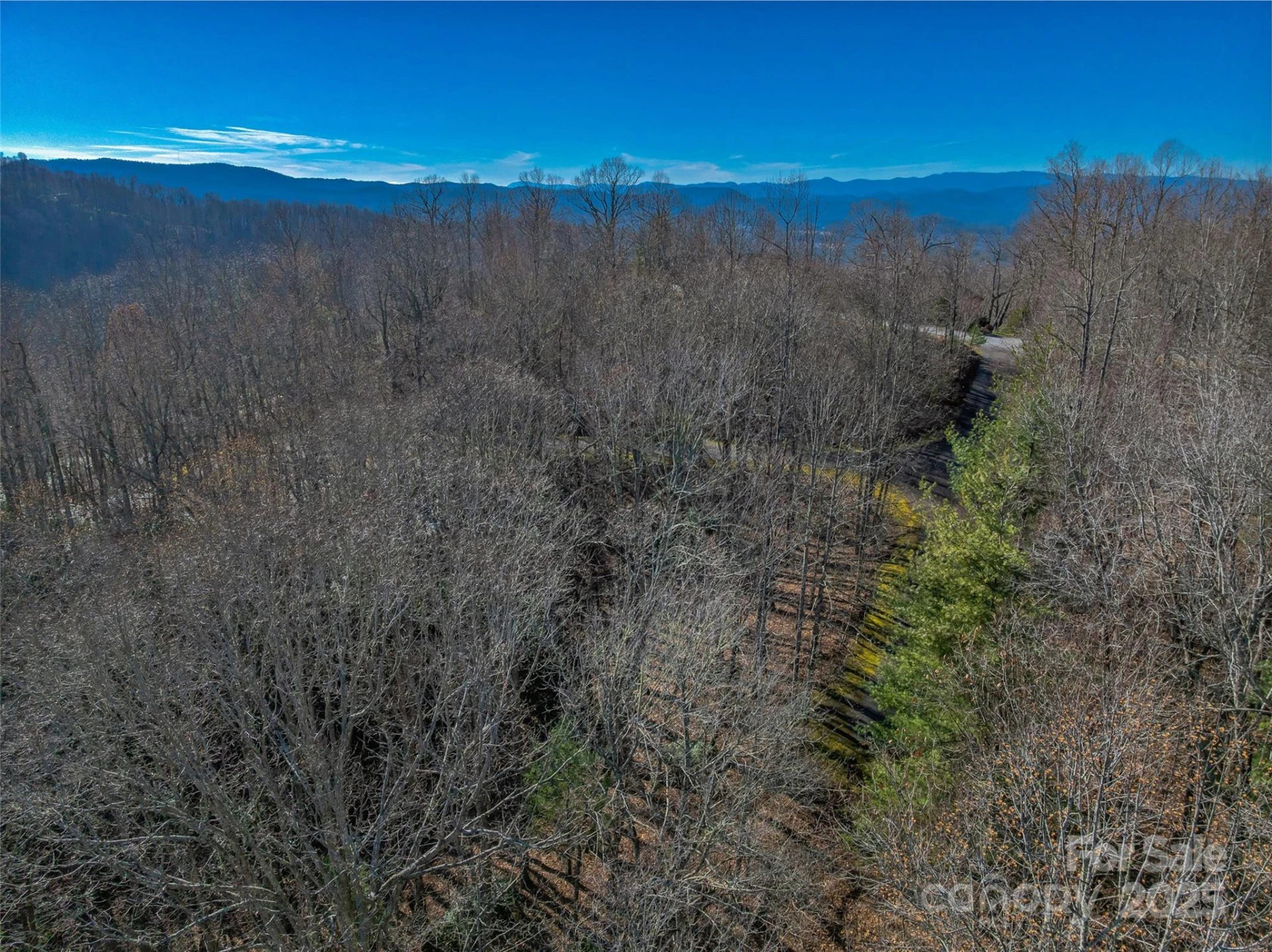 TBD Ladys Fern Trail #9 - Photo 12