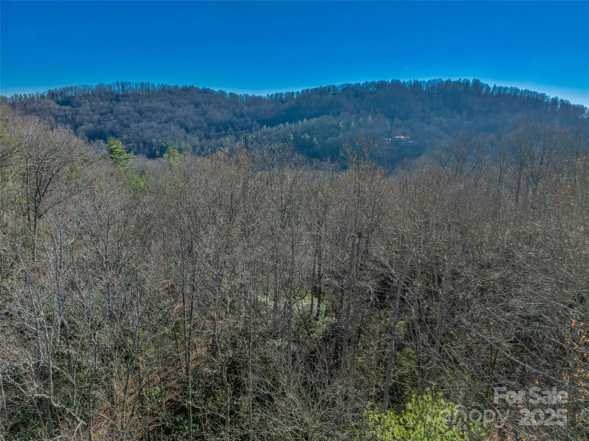 TBD Ladys Fern Trail #9 - Photo 13