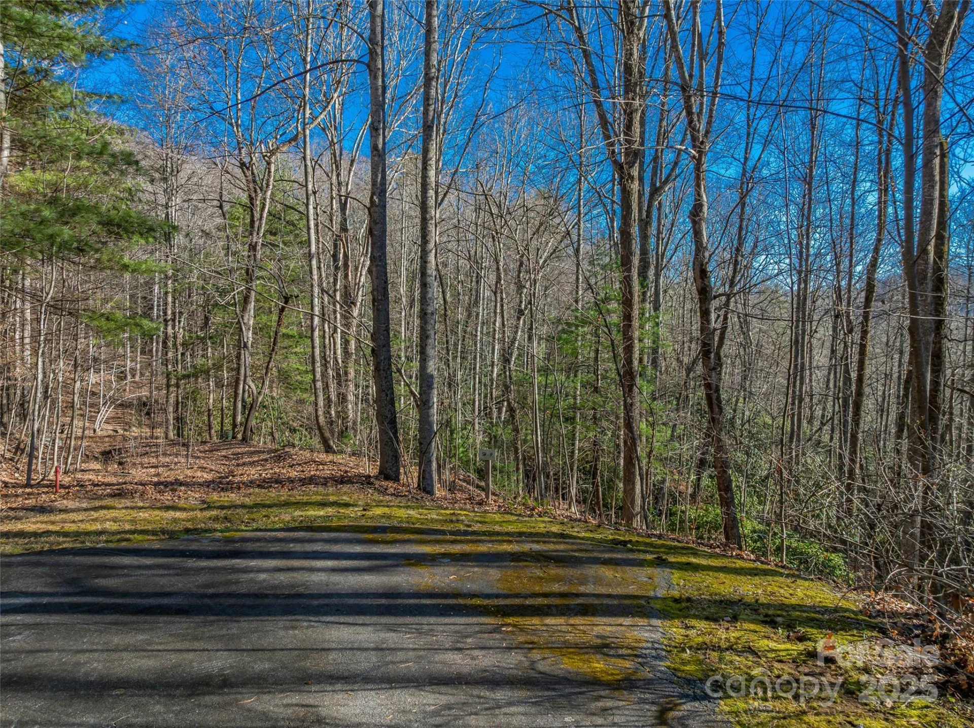 TBD Ladys Fern Trail #9 - Photo 6