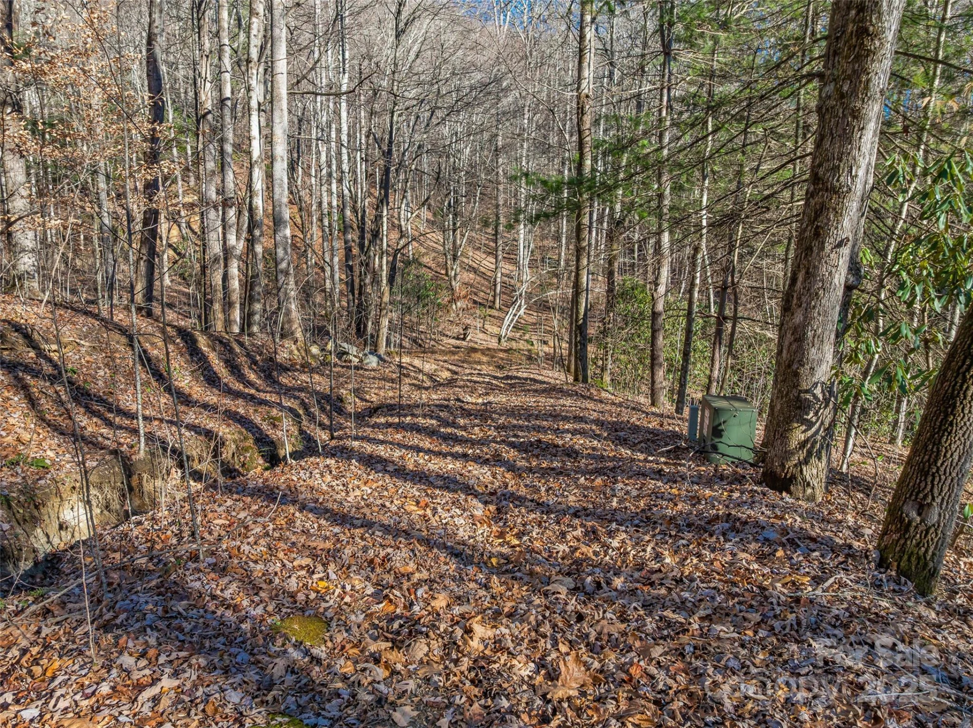 TBD Ladys Fern Trail #9 - Photo 7