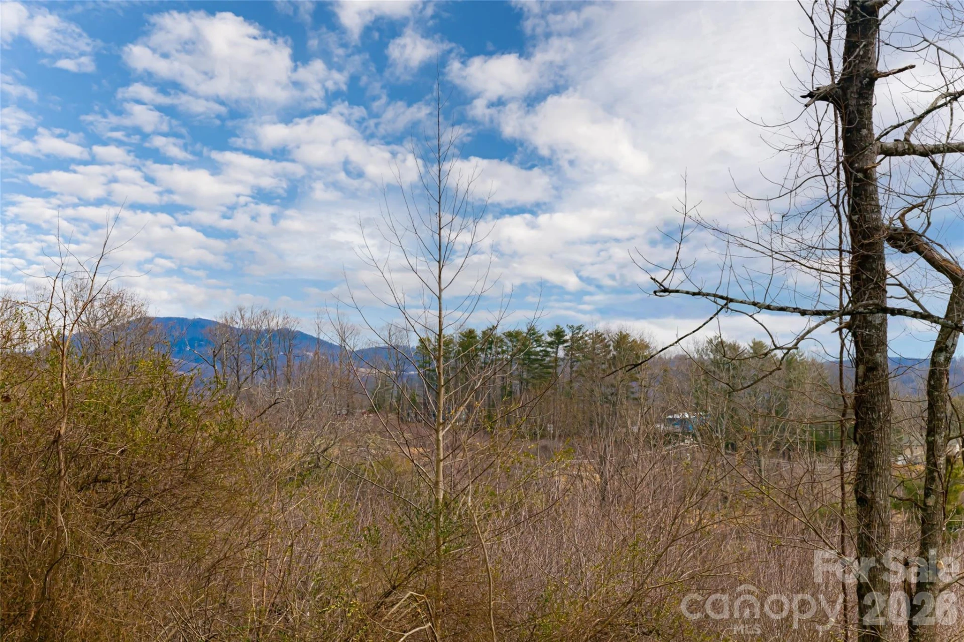 153 Hackleburg Lane - Photo 10