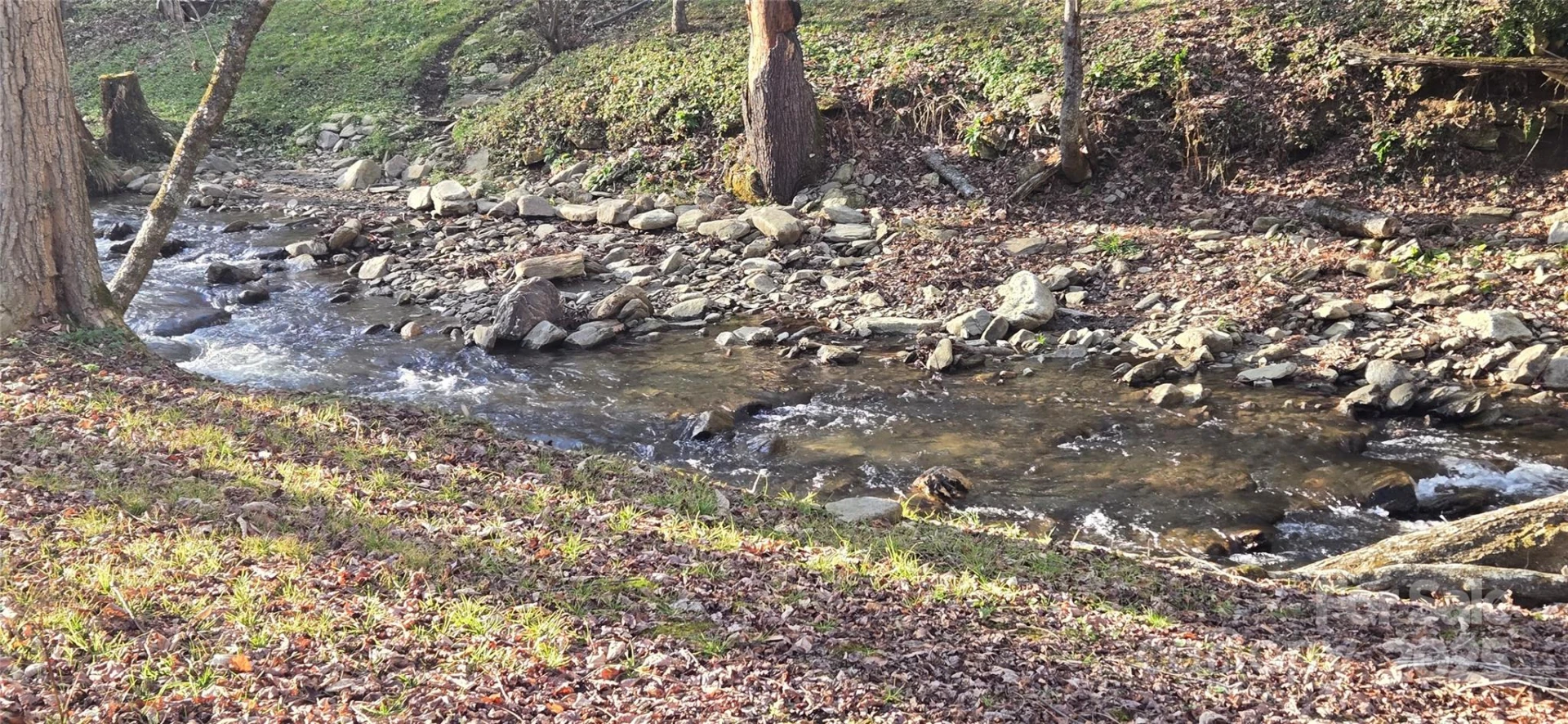 00 Black Camp Gap Road - Photo 2
