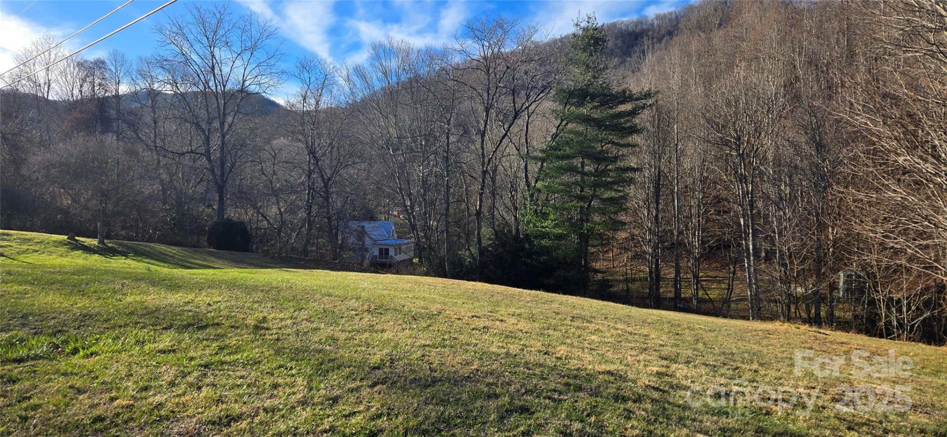 00 Black Camp Gap Road - Photo 13