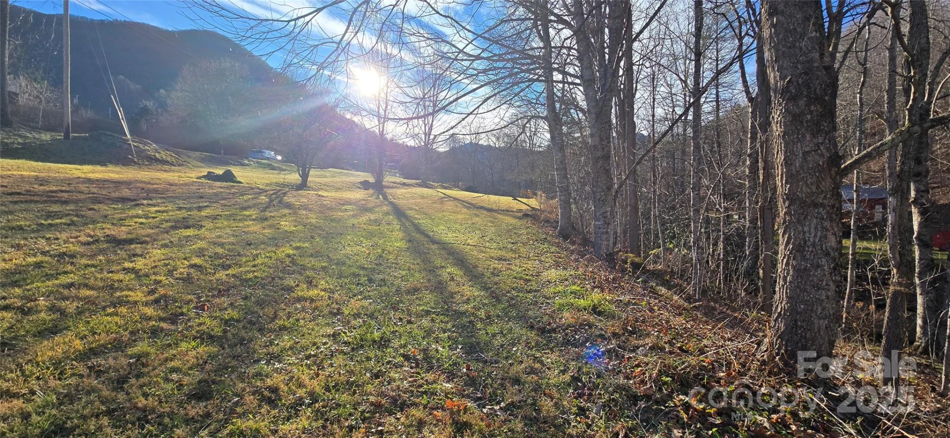 00 Black Camp Gap Road - Photo 4
