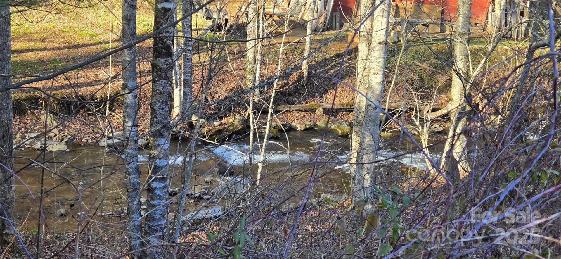 00 Black Camp Gap Road - Photo 9