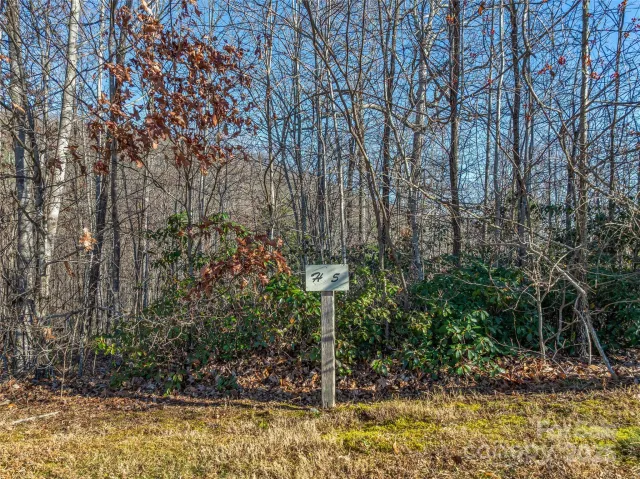 211 Ladys Fern Trail, Laurel Park, NC, 28739