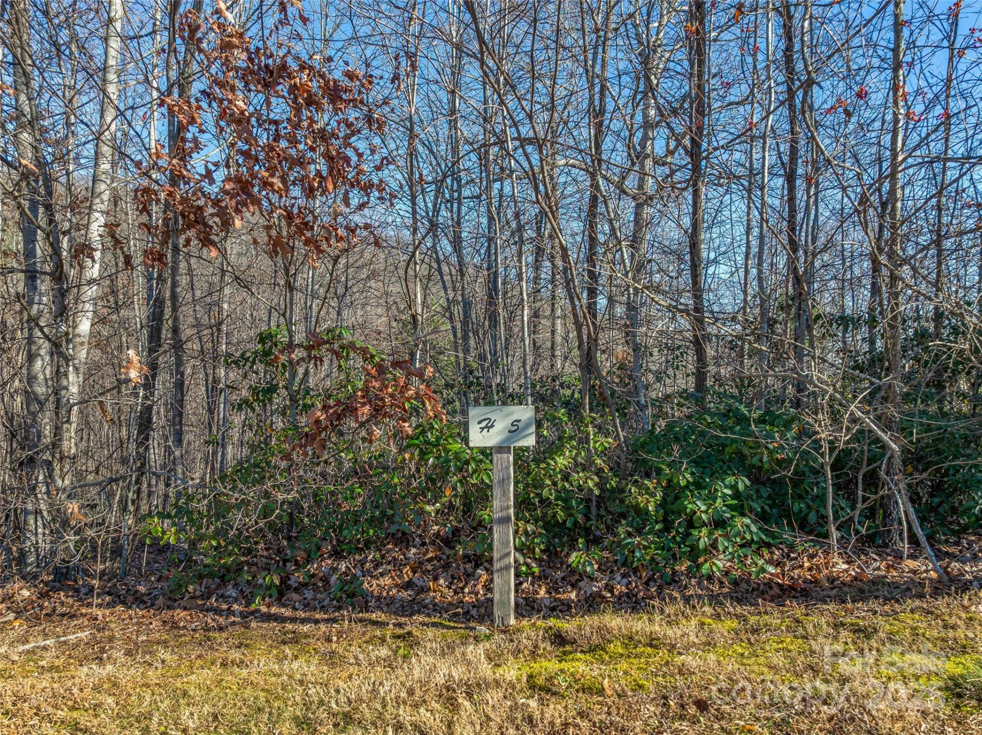 211 Ladys Fern Trail