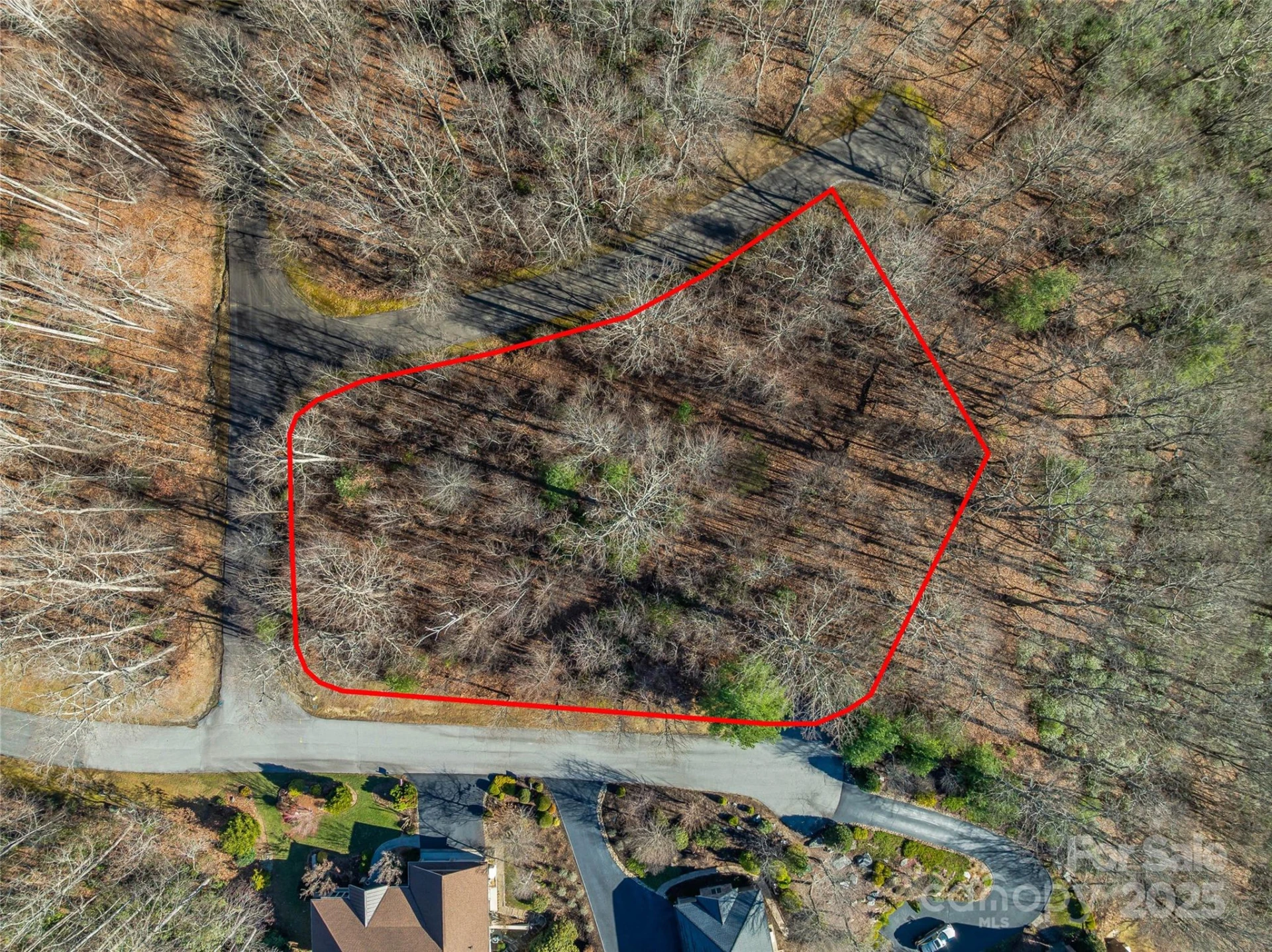 211 Ladys Fern Trail - Photo 3