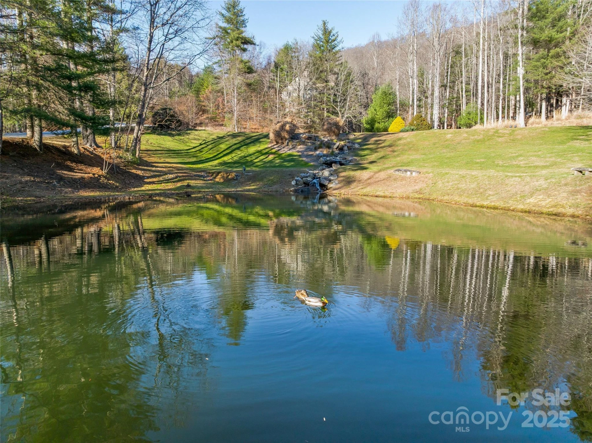 211 Ladys Fern Trail - Photo 26