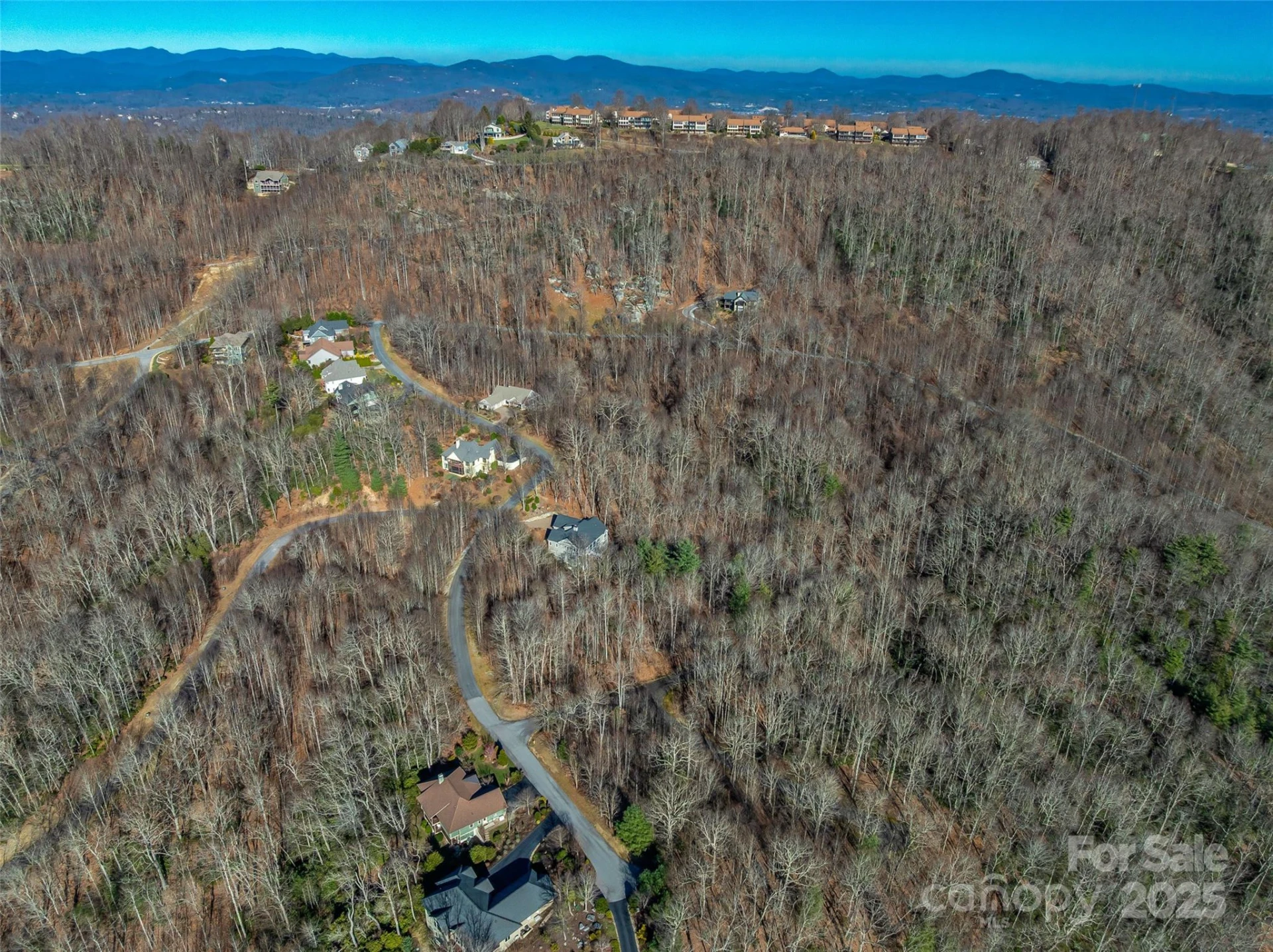 211 Ladys Fern Trail - Photo 6