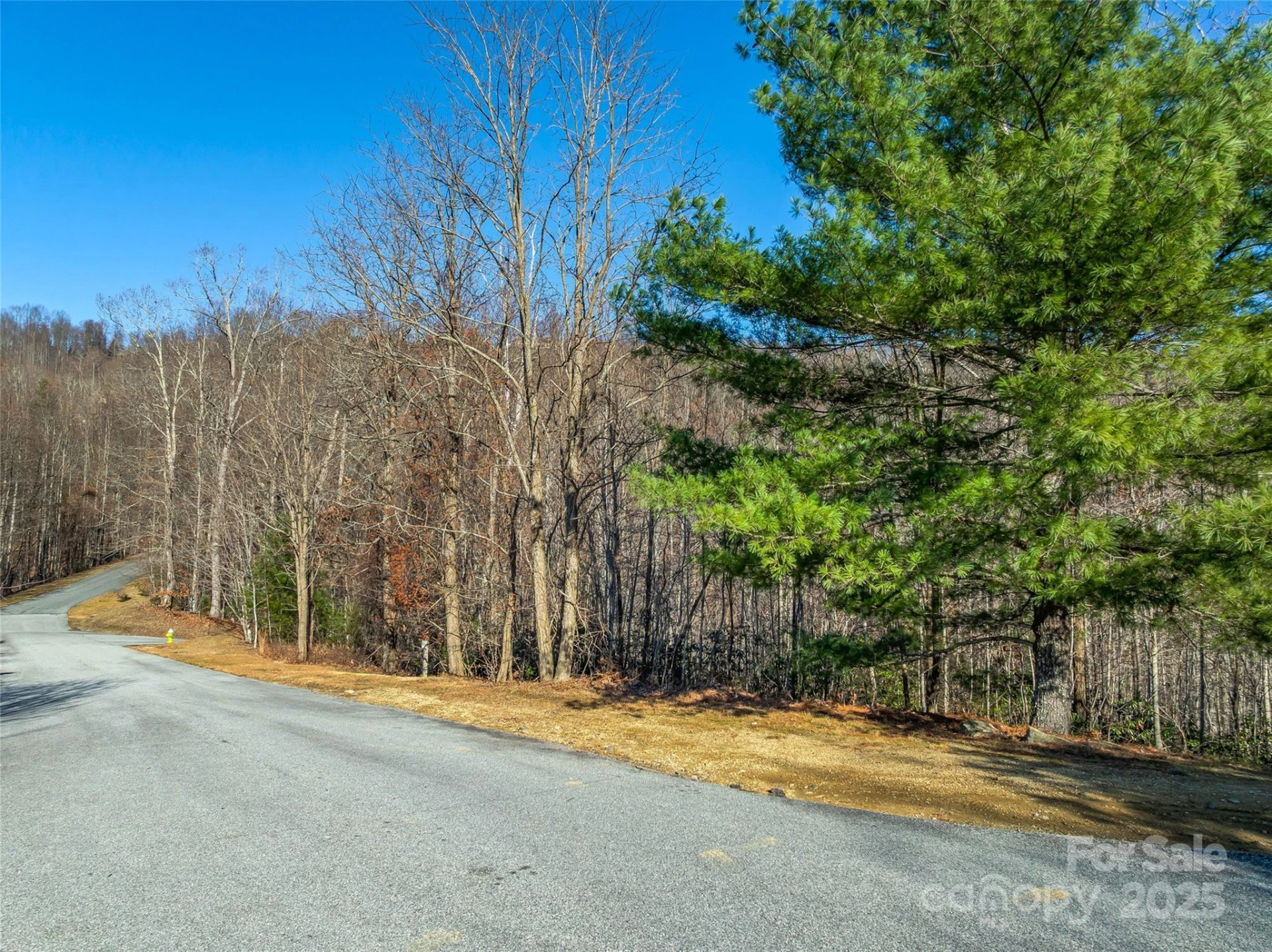 211 Ladys Fern Trail - Photo 8