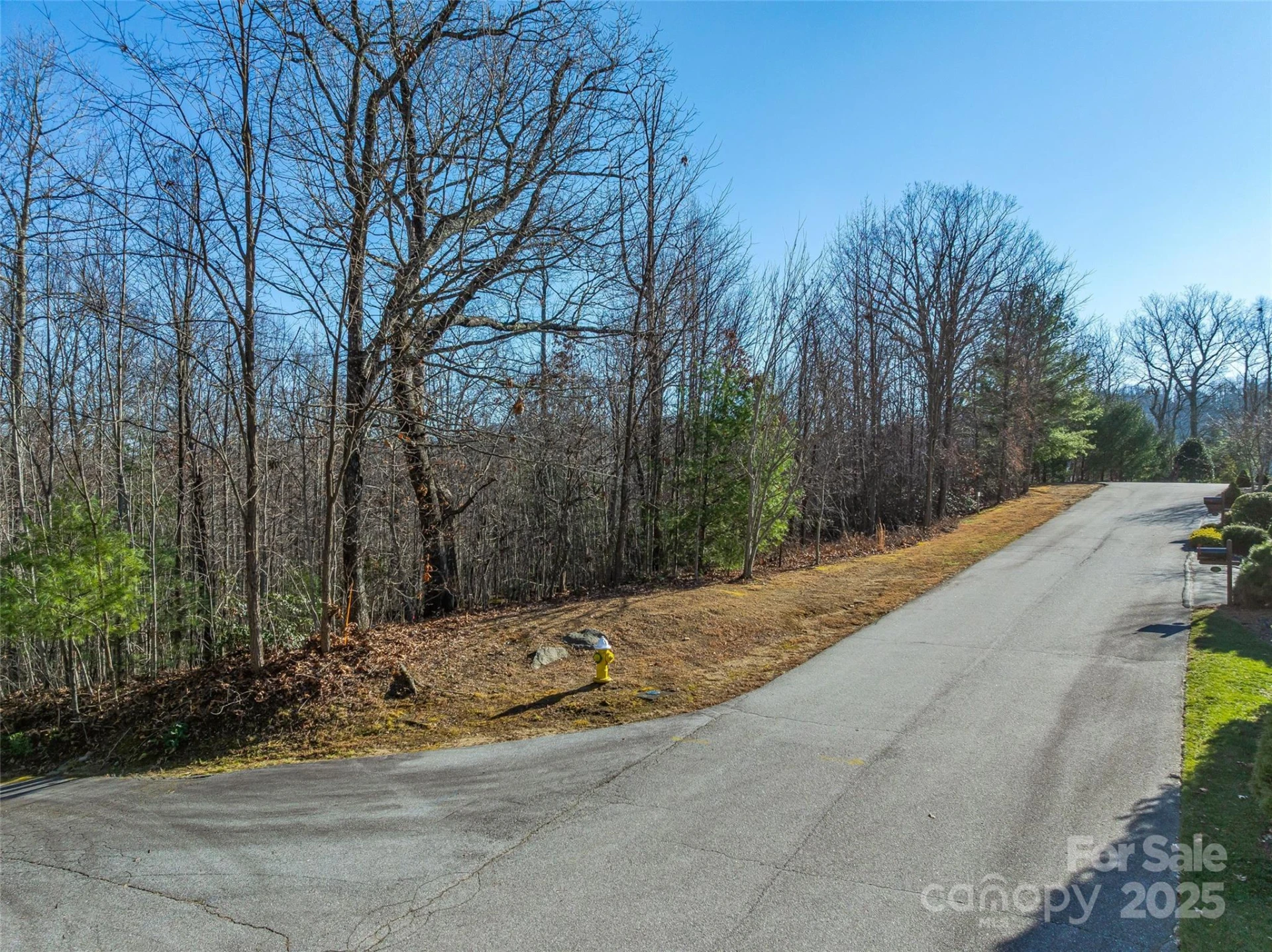 211 Ladys Fern Trail - Photo 9
