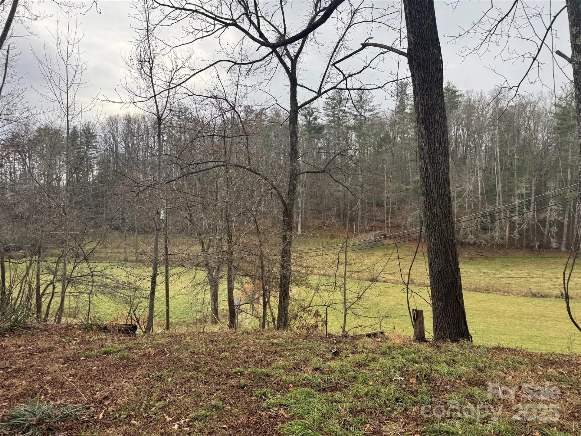 201 Tinsley Road - Photo 9