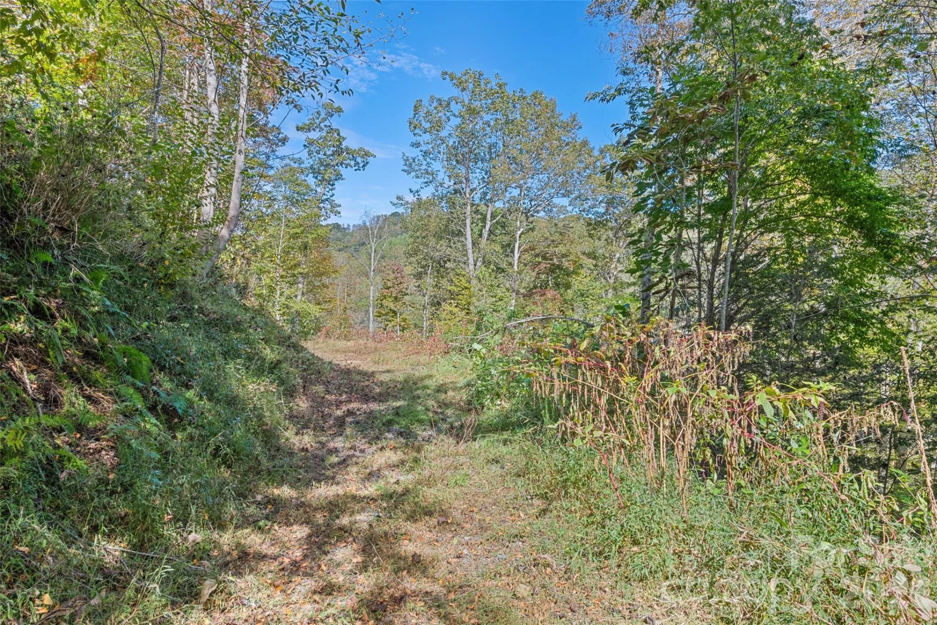 16 Harleys Cove - Photo 2