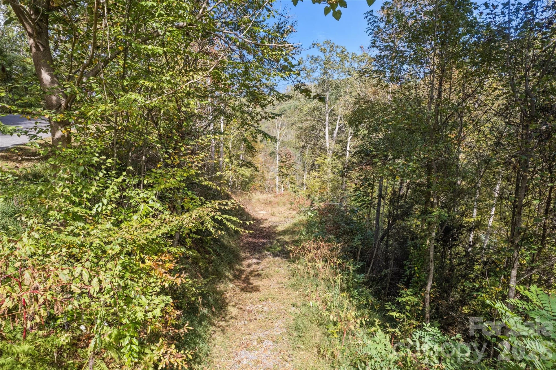 16 Harleys Cove - Photo 14