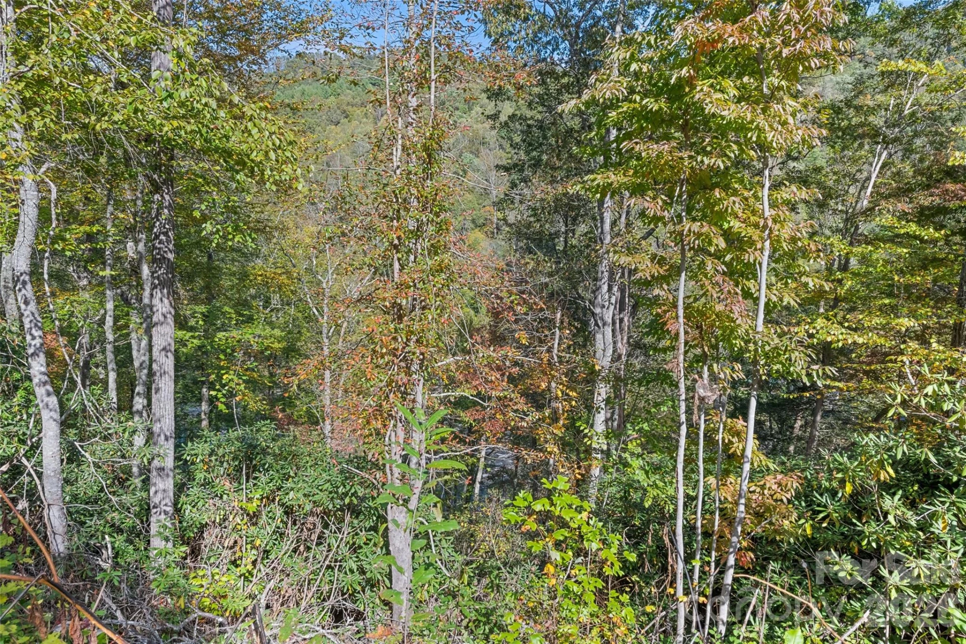 16 Harleys Cove - Photo 18
