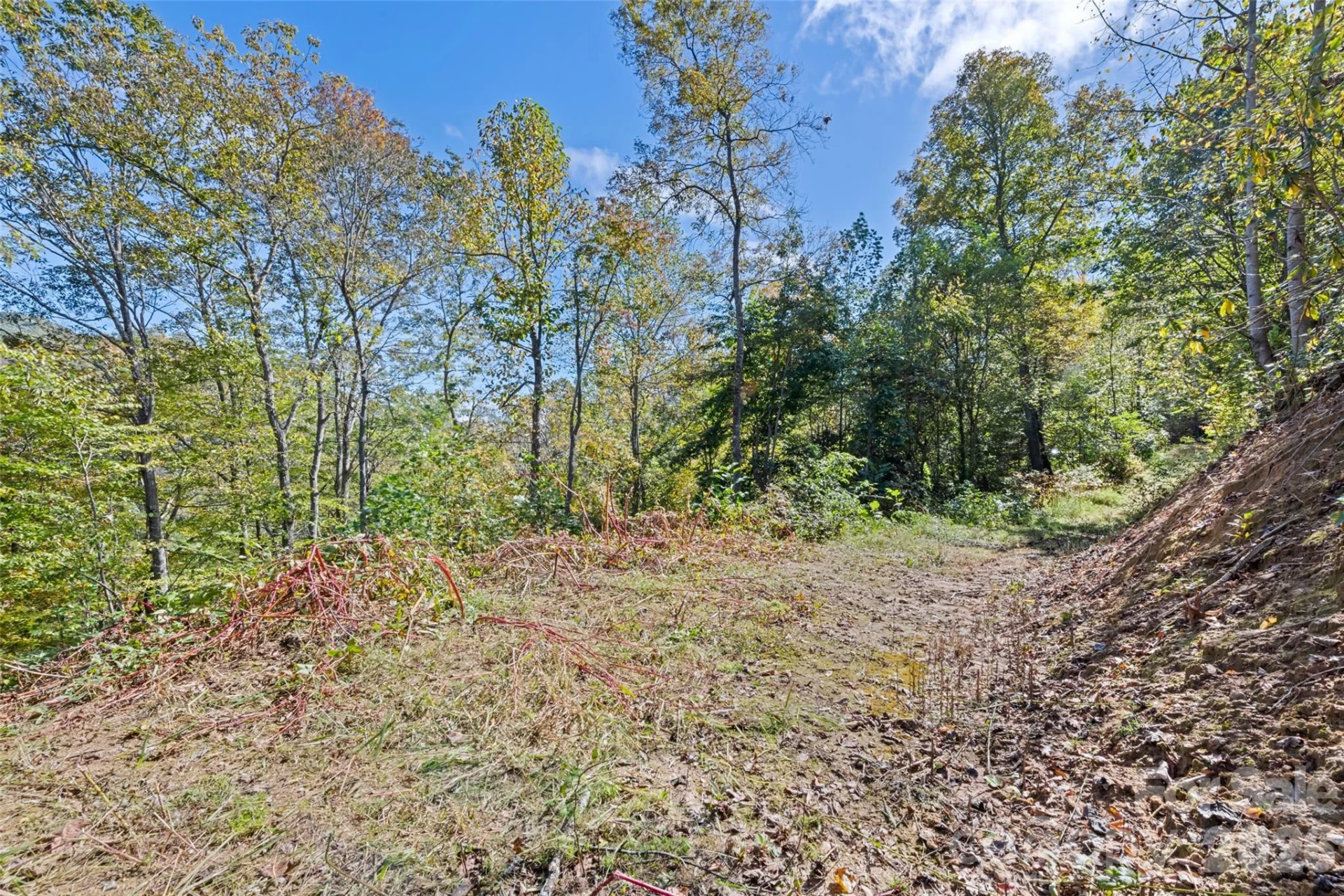 16 Harleys Cove - Photo 19