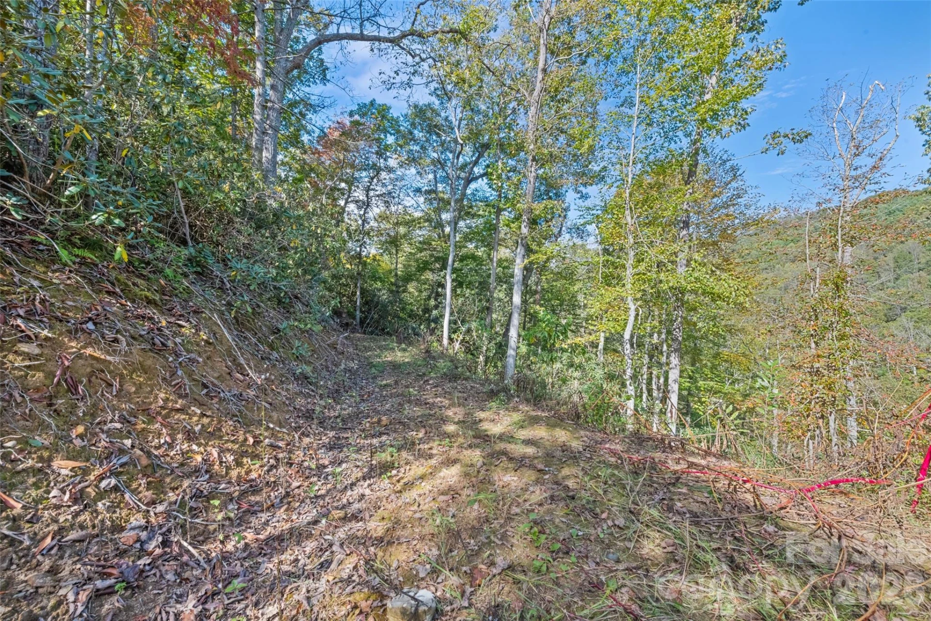 16 Harleys Cove - Photo 20