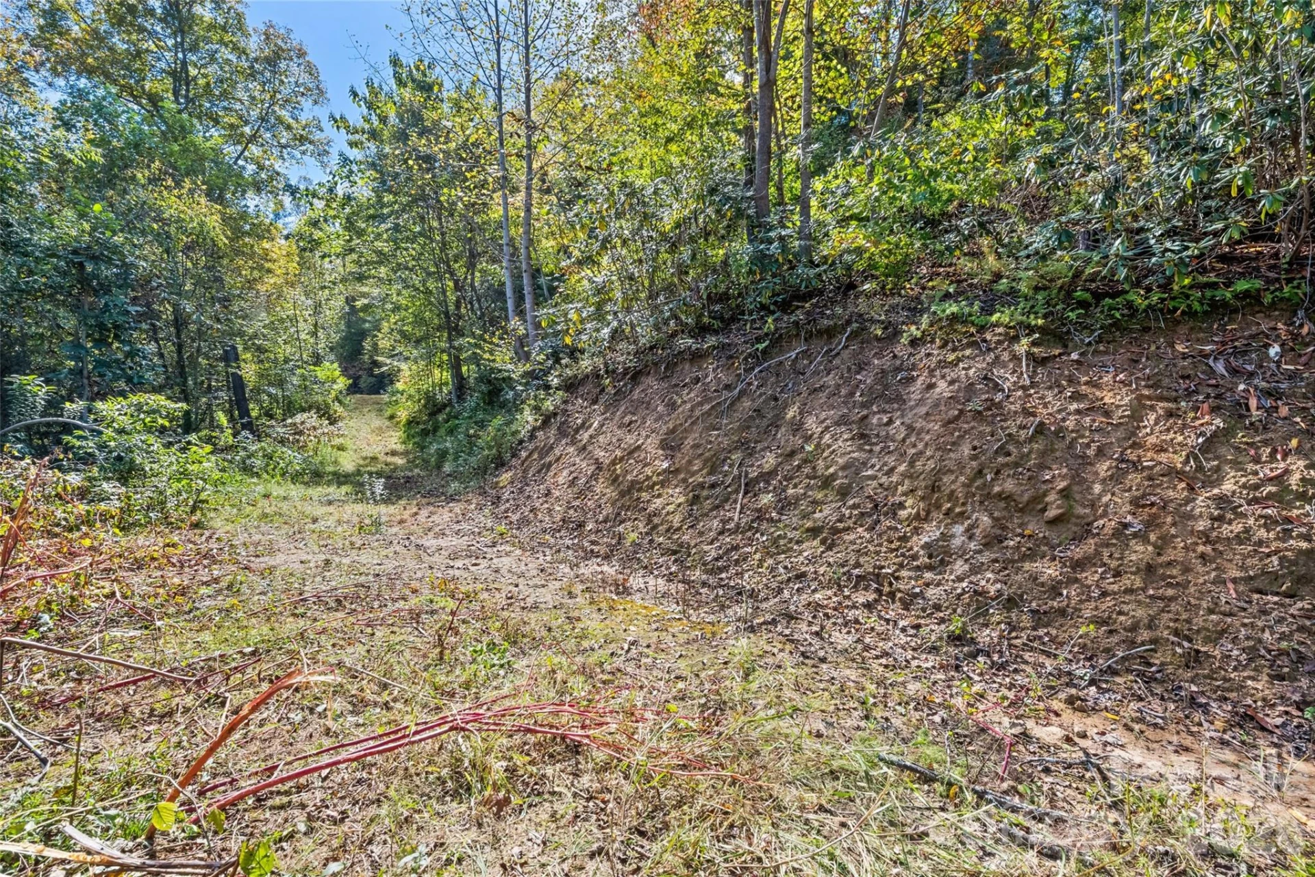 16 Harleys Cove - Photo 3