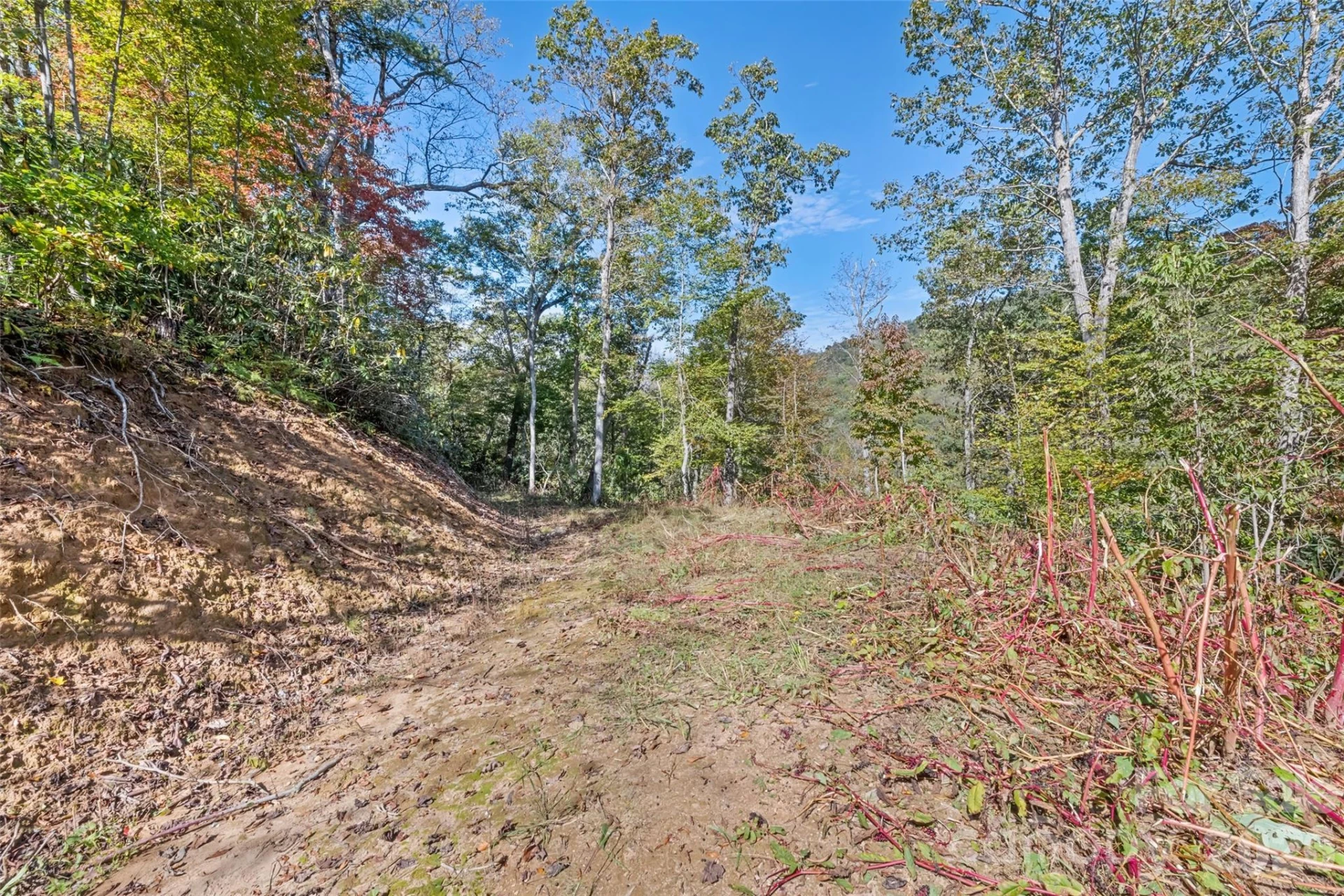 16 Harleys Cove - Photo 21