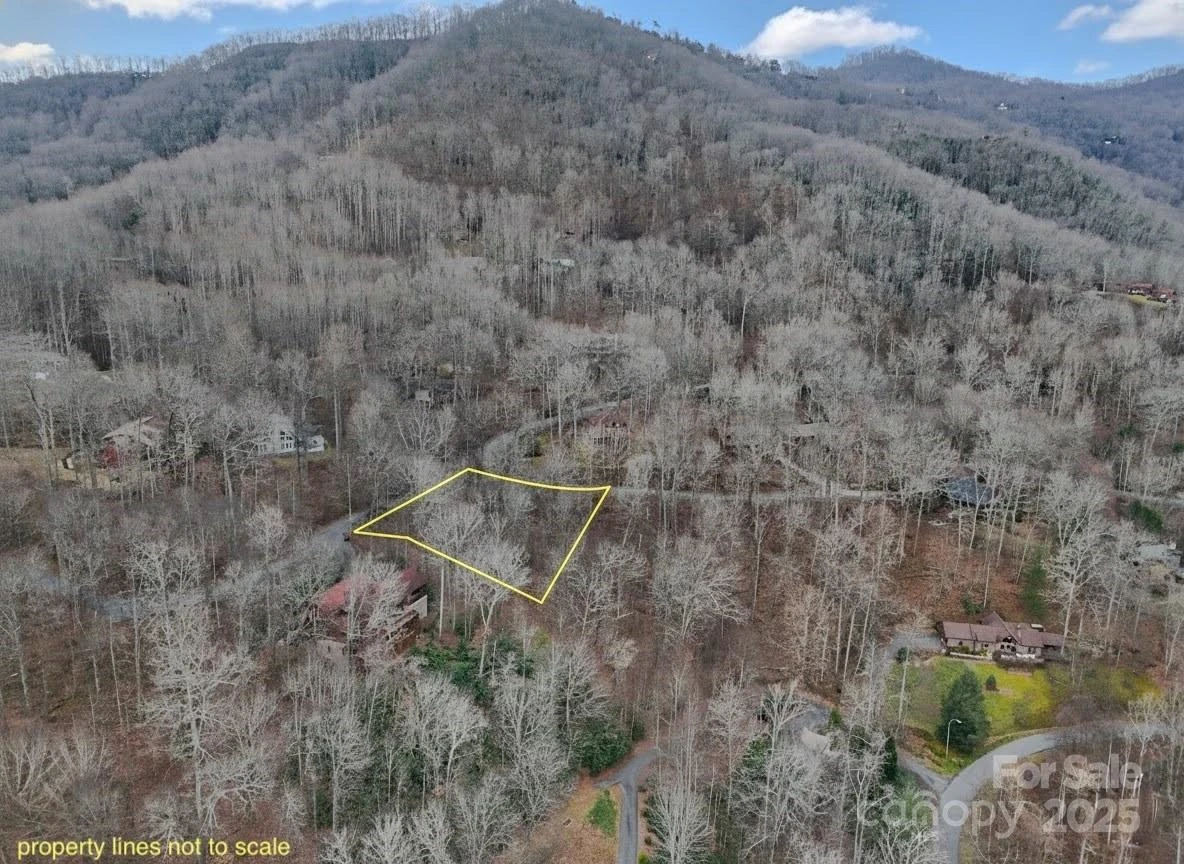 TBD Hornets Nest Road - Photo 2