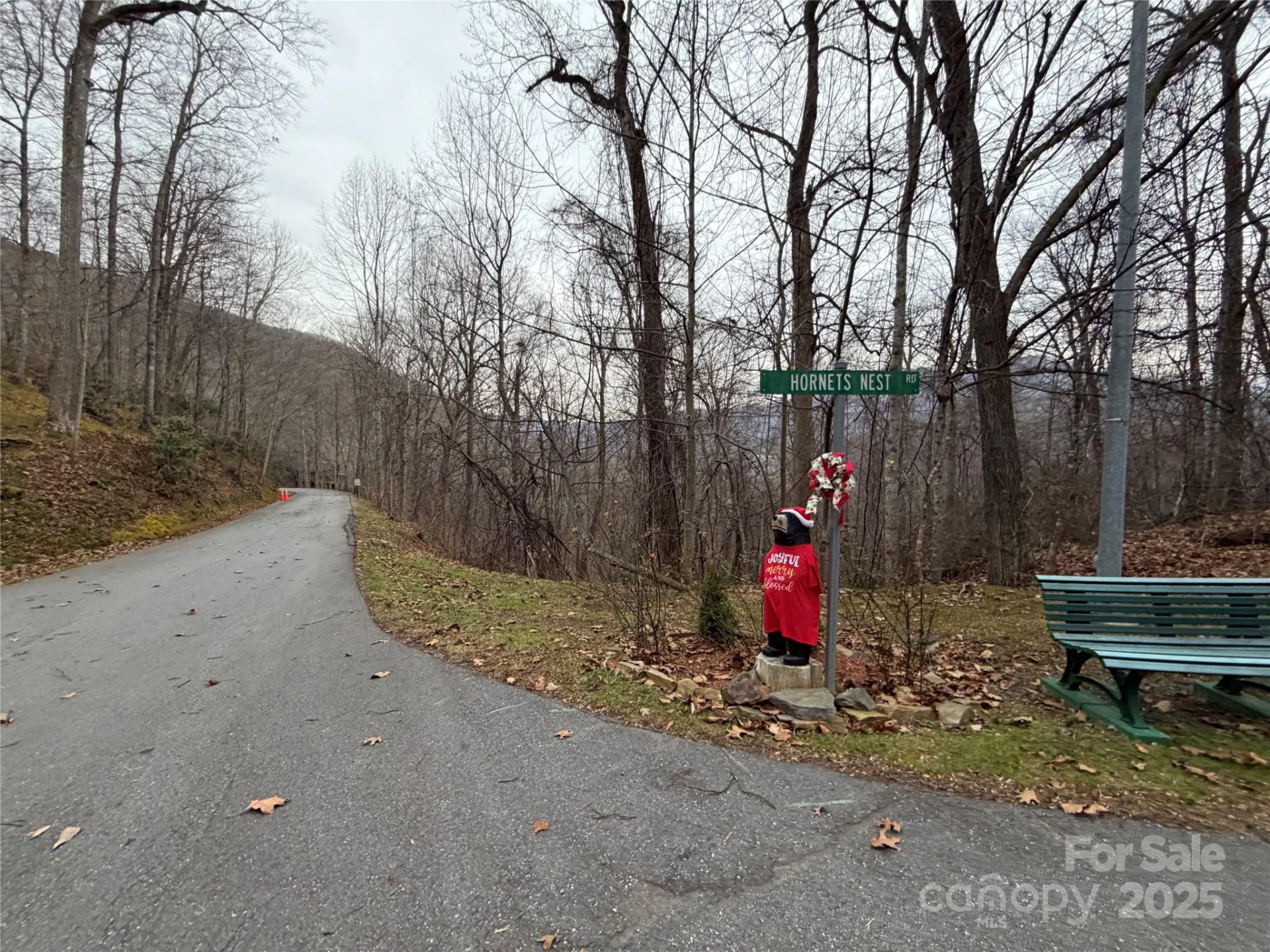 TBD Hornets Nest Road - Photo 11