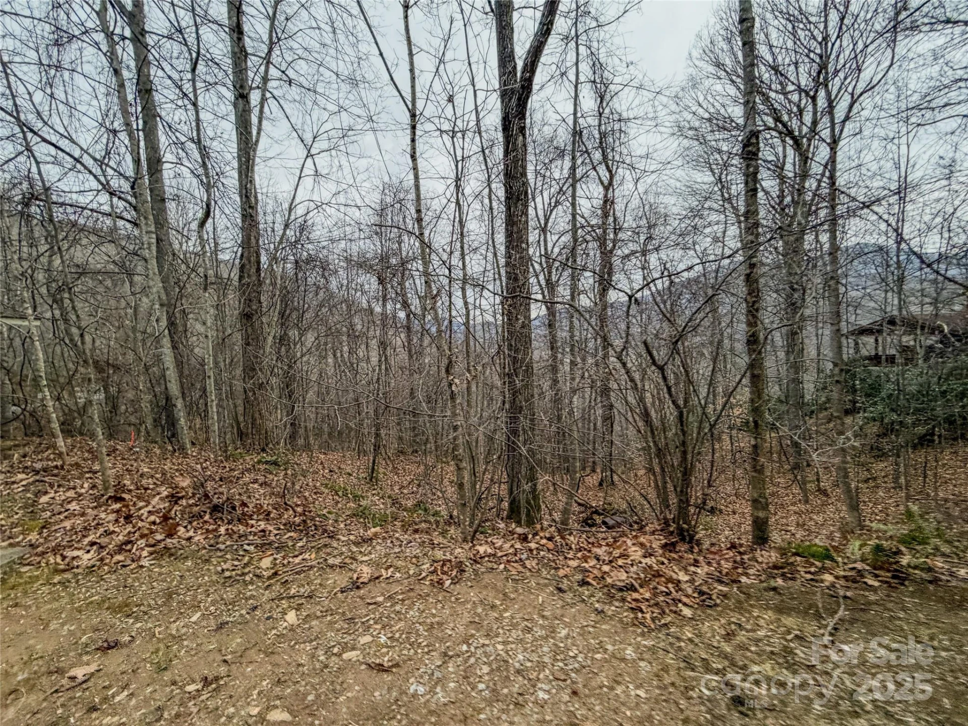 TBD Hornets Nest Road - Photo 13