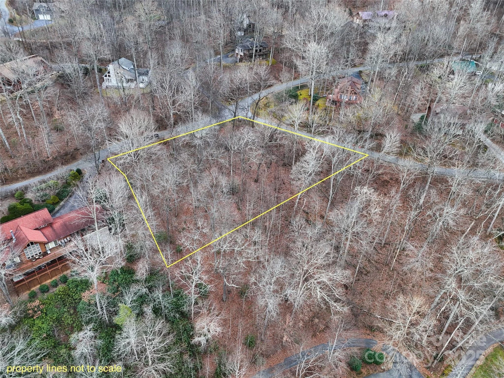 TBD Hornets Nest Road - Photo 3