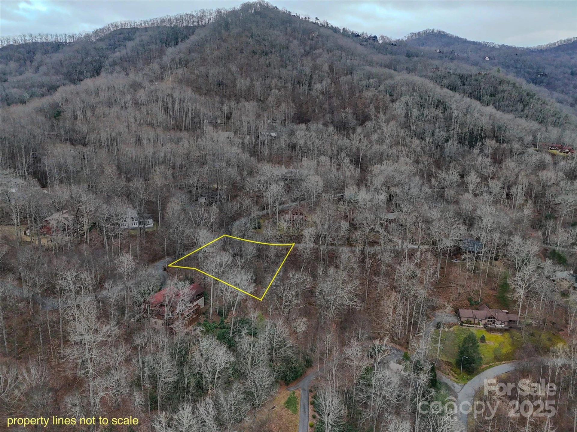 TBD Hornets Nest Road - Photo 4