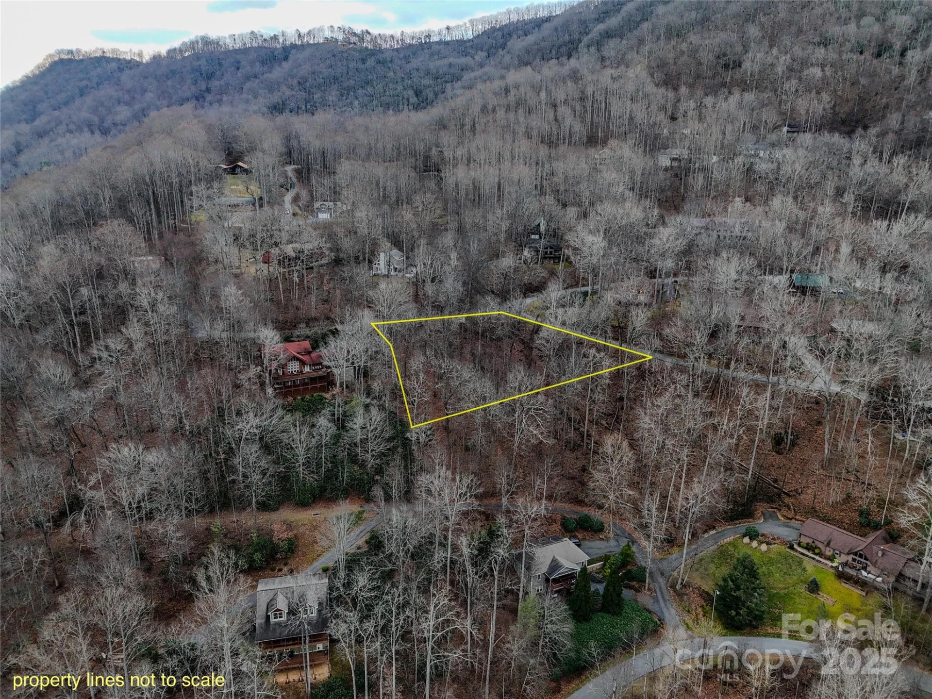 TBD Hornets Nest Road - Photo 5