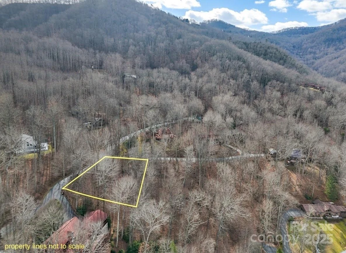 TBD Hornets Nest Road - Photo 7
