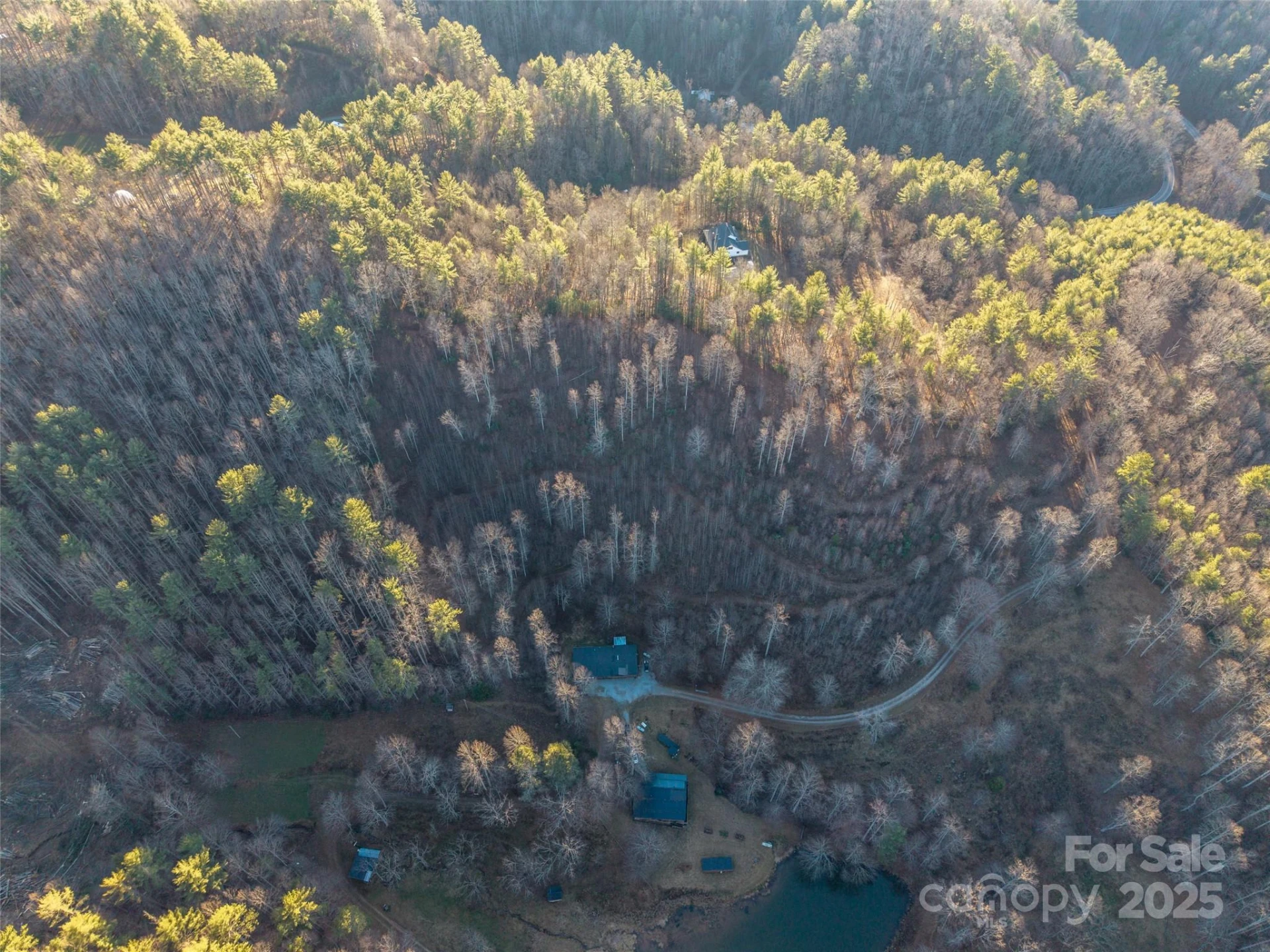 00 Eaglecrest Lane - Photo 3