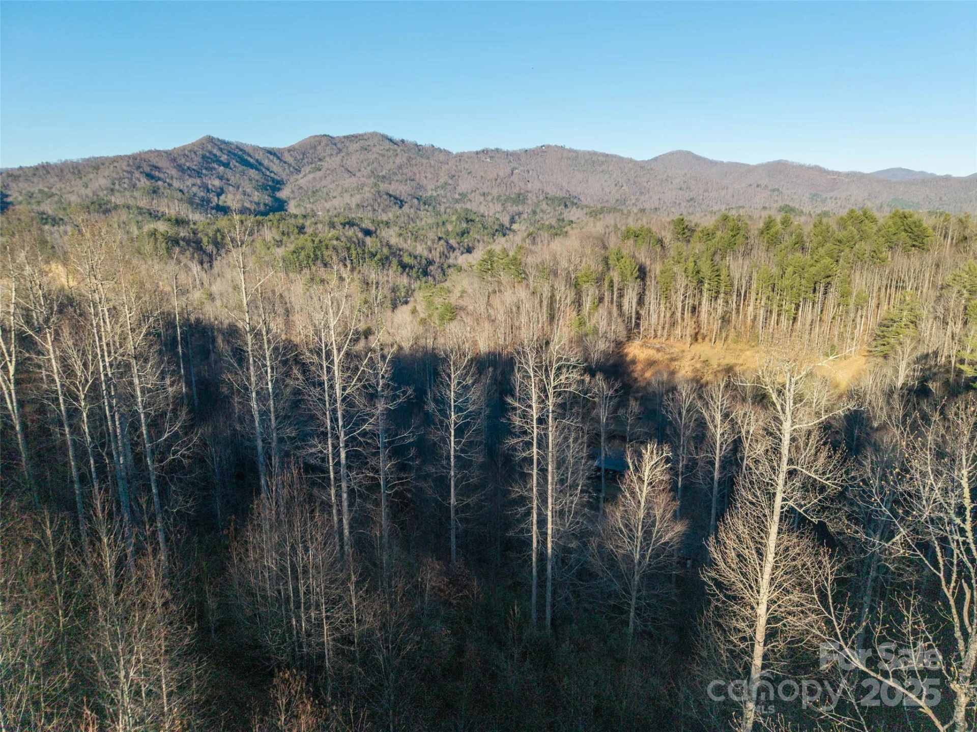 00 Eaglecrest Lane - Photo 7