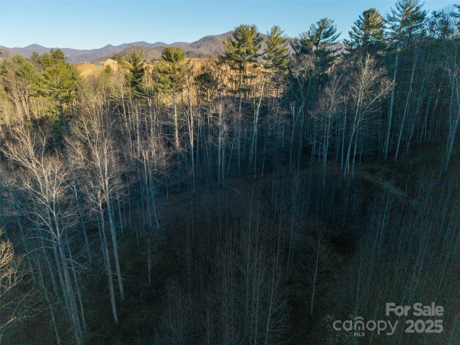 00 Eaglecrest Lane - Photo 8