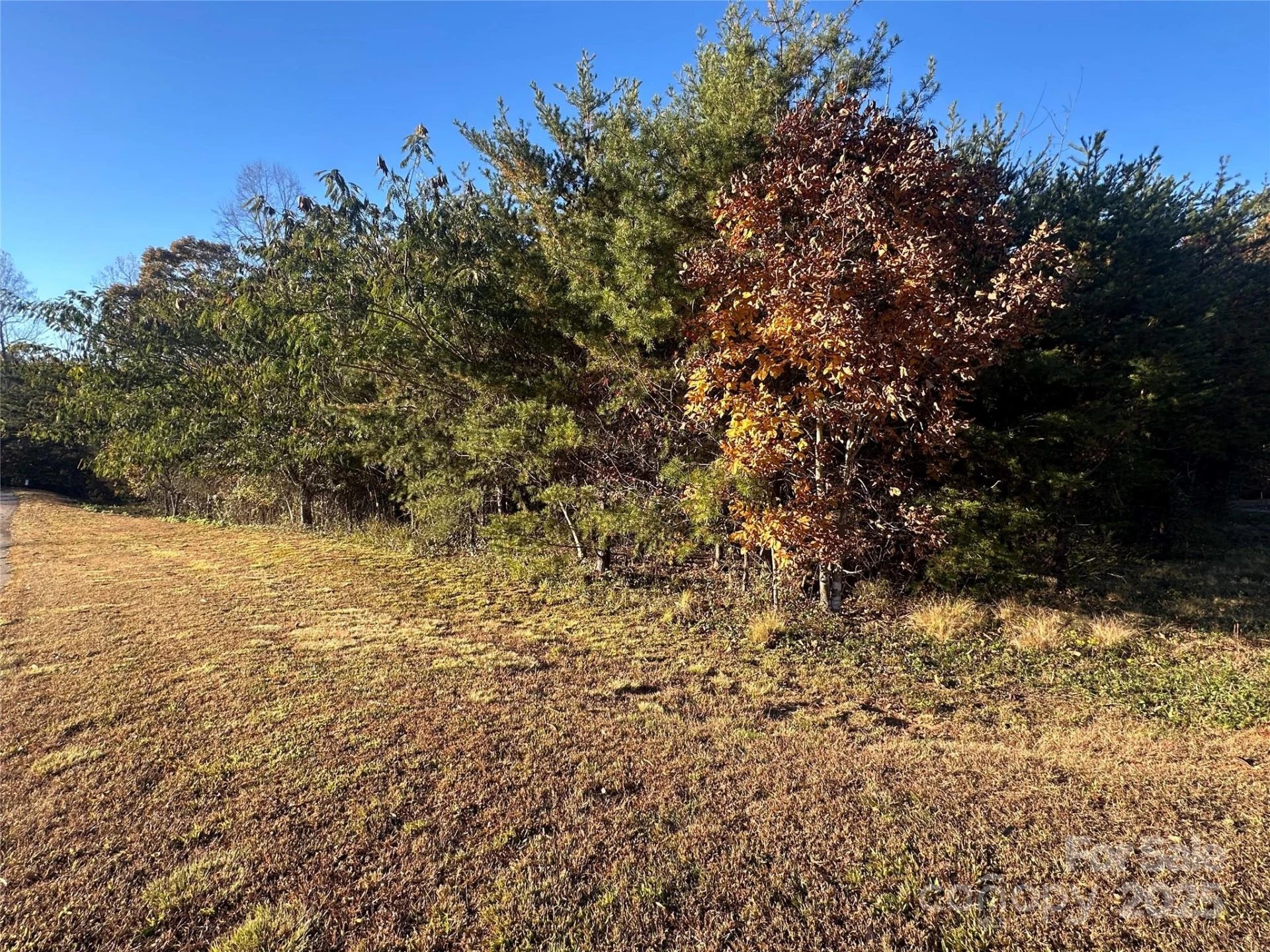0 Rock Ledge Drive #339 - Photo 12