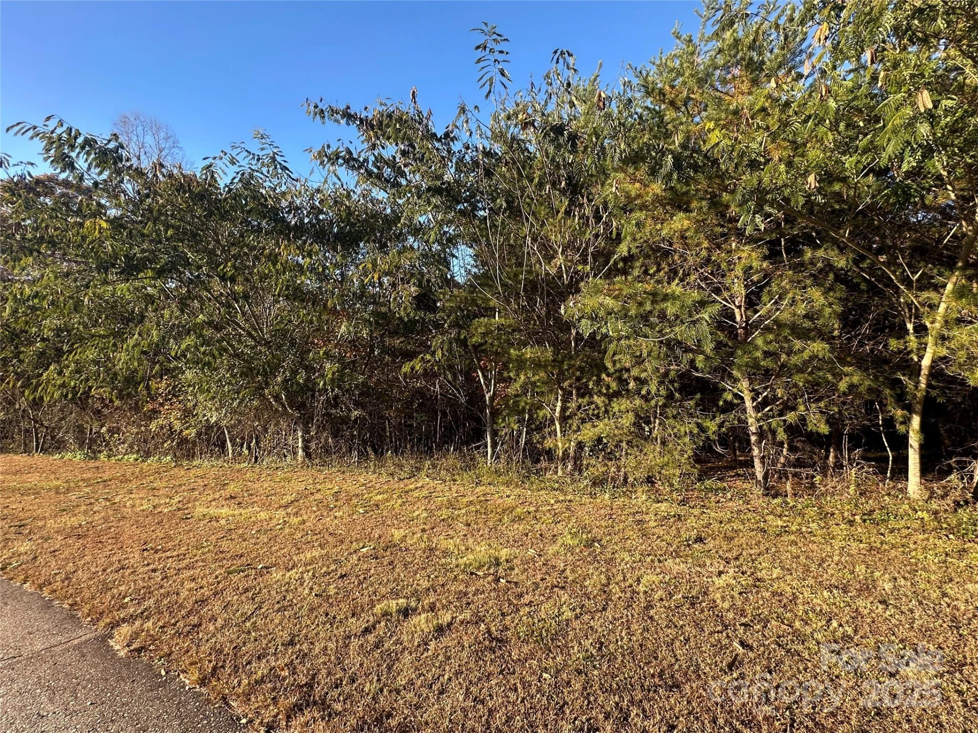 0 Rock Ledge Drive #339 - Photo 14