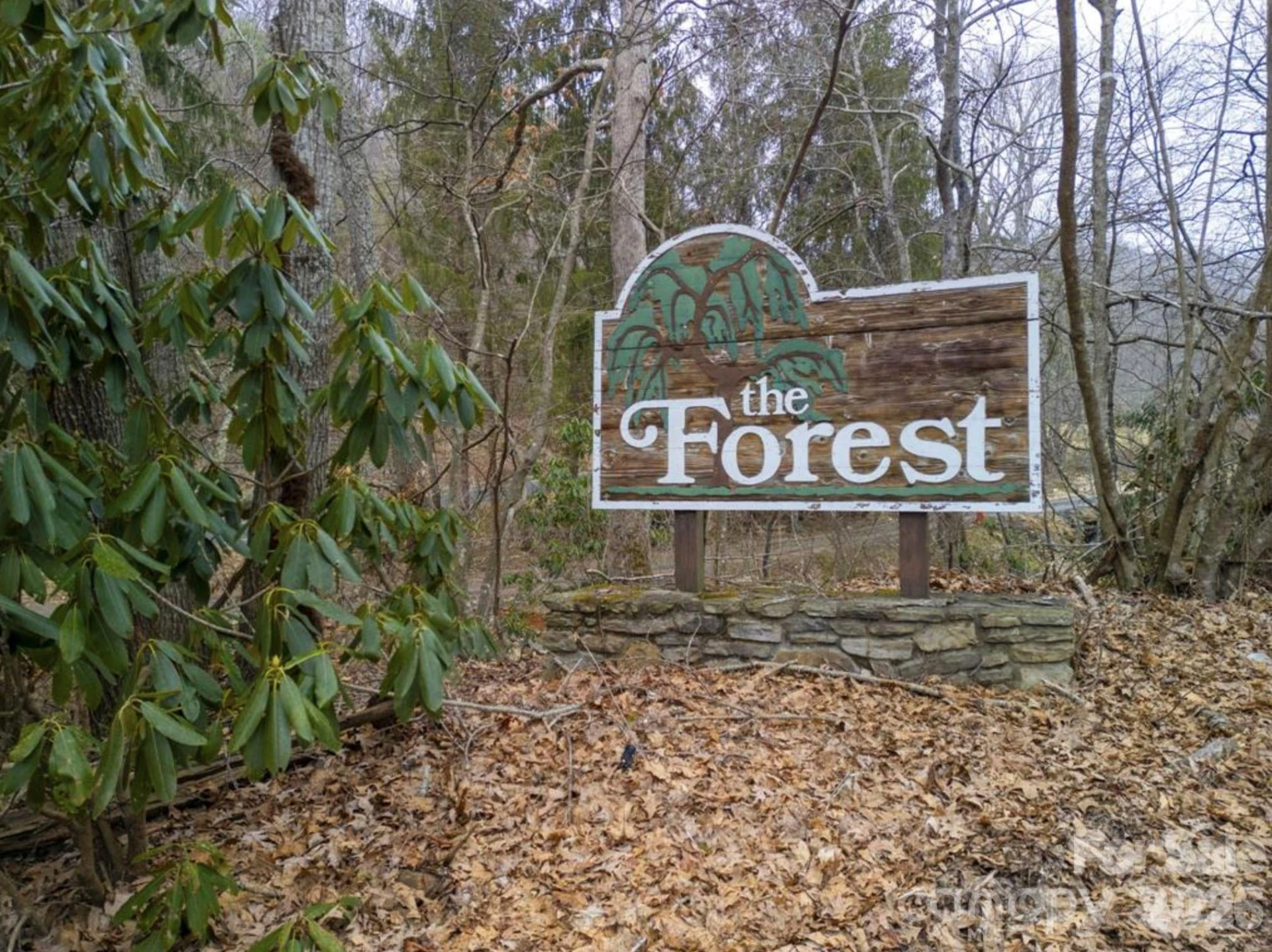 00 Seasons Drive #Lot 43 - Photo 27