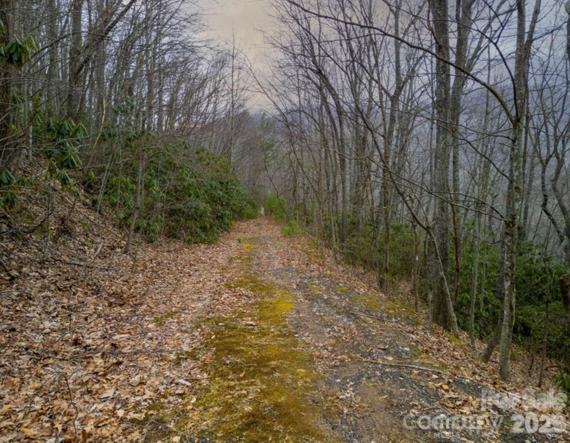 00 Seasons Drive #Lot 43 - Photo 7