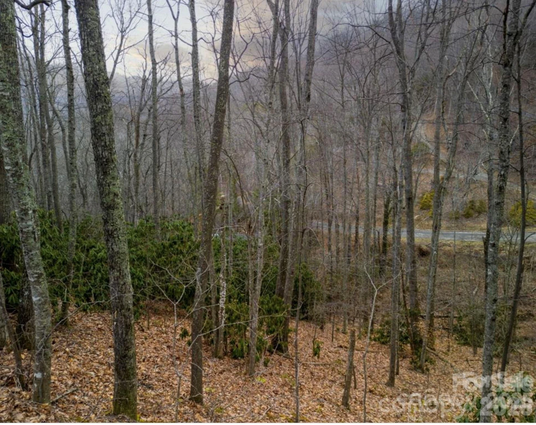 00 Seasons Drive #Lot 43 - Photo 9