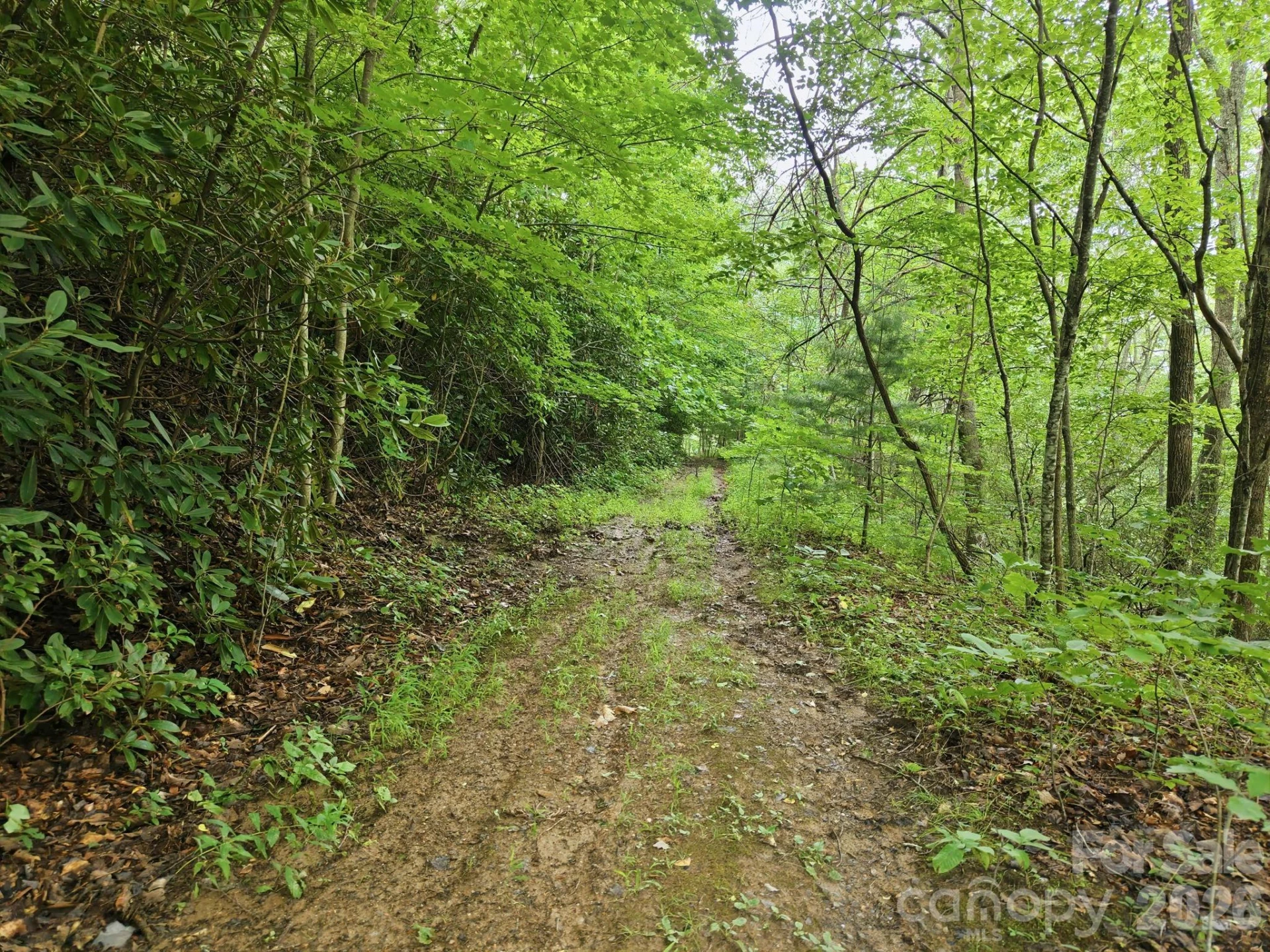 00 Seasons Drive #Lot 43 - Photo 6