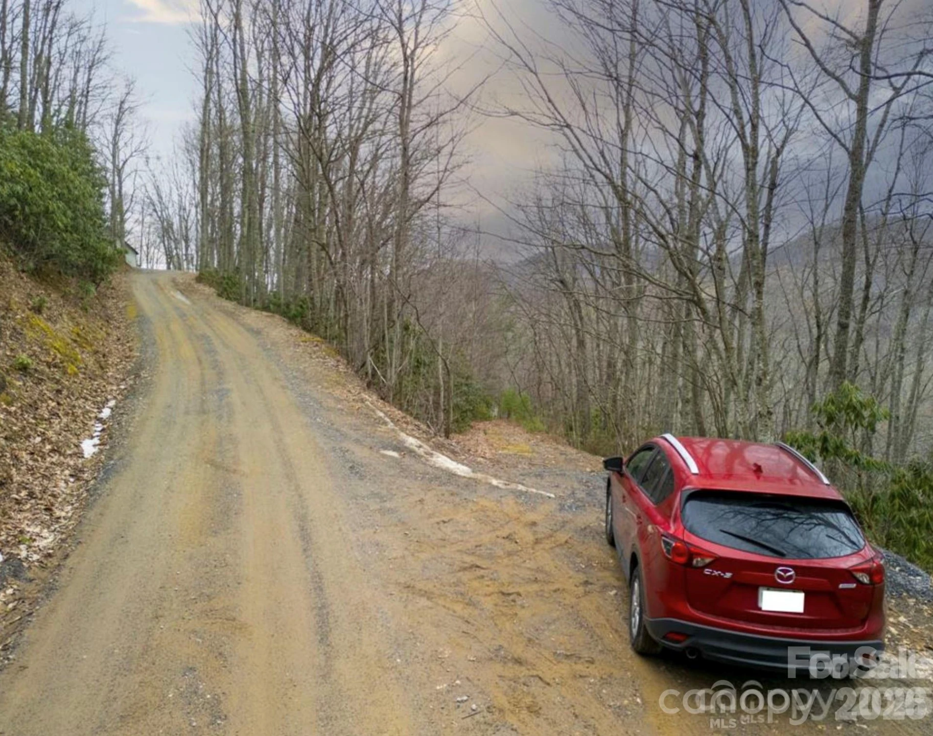 00 Seasons Drive #Lot 43 - Photo 15