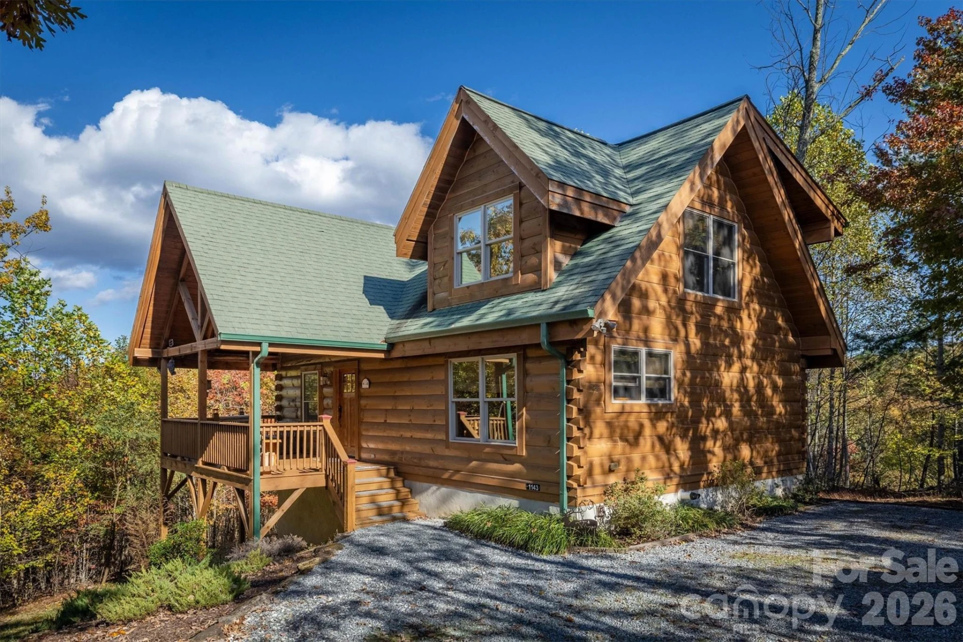 1143 Grandview Peaks Drive - Photo 3