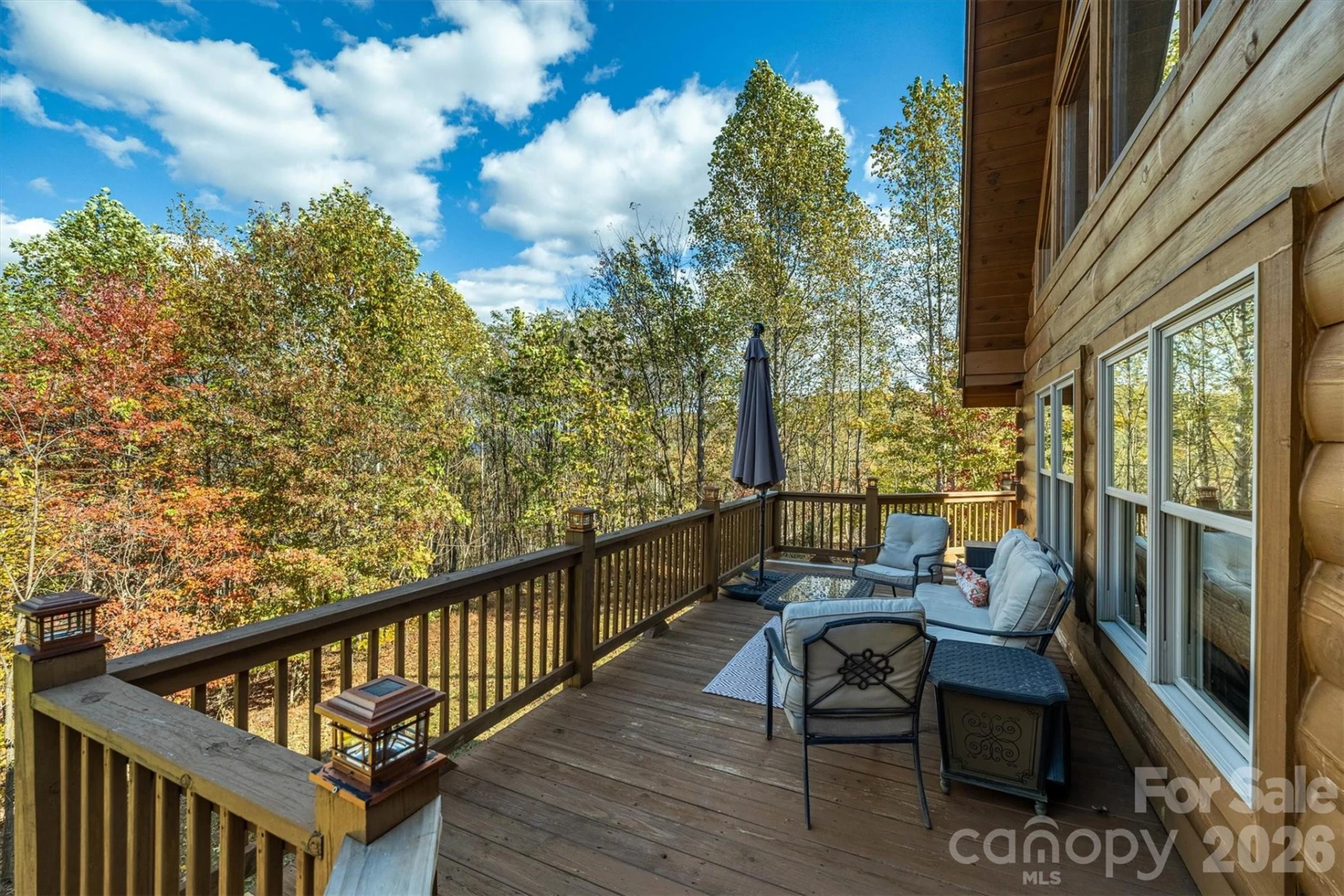 1143 Grandview Peaks Drive - Photo 12