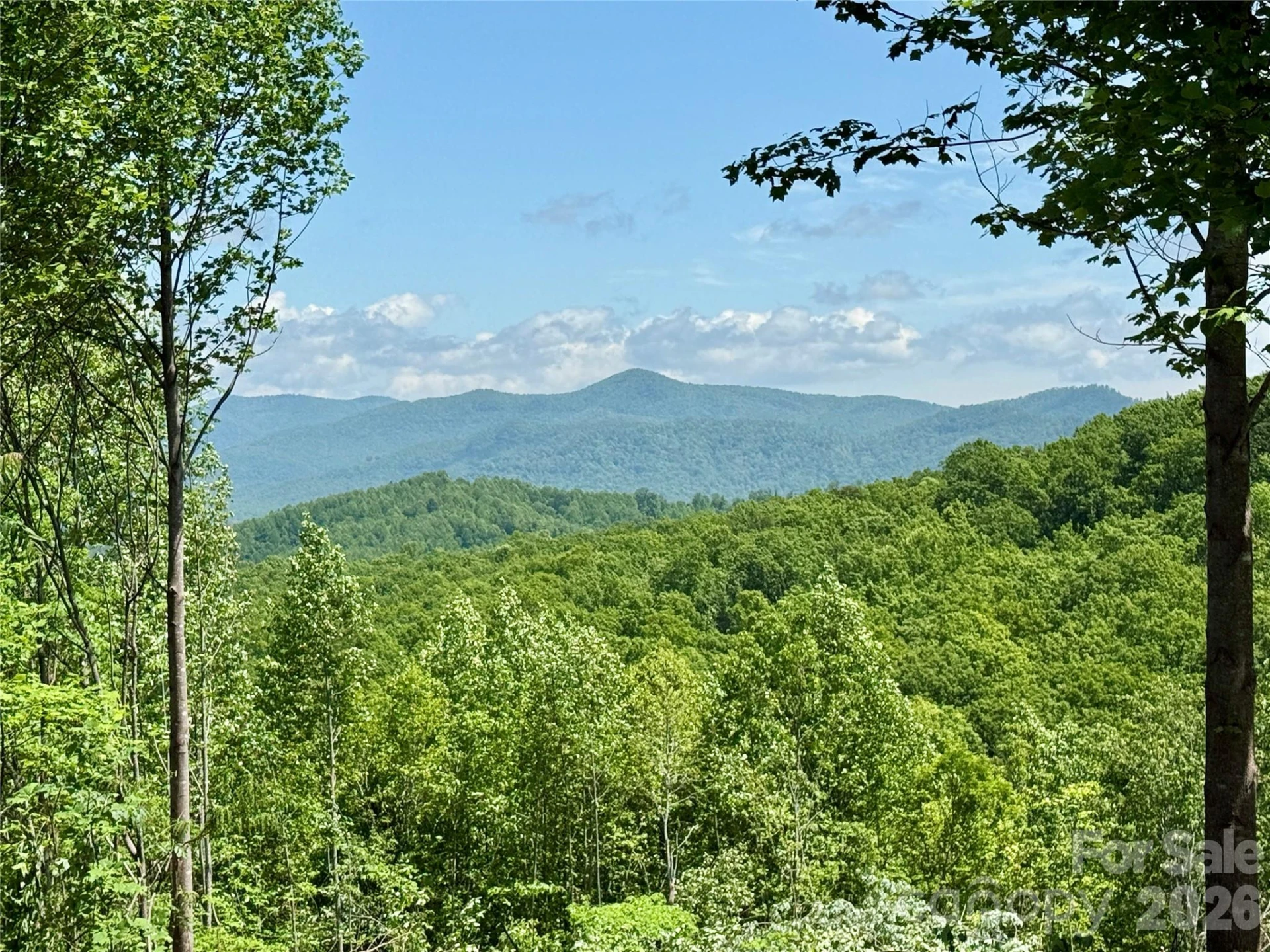 1143 Grandview Peaks Drive - Photo 15