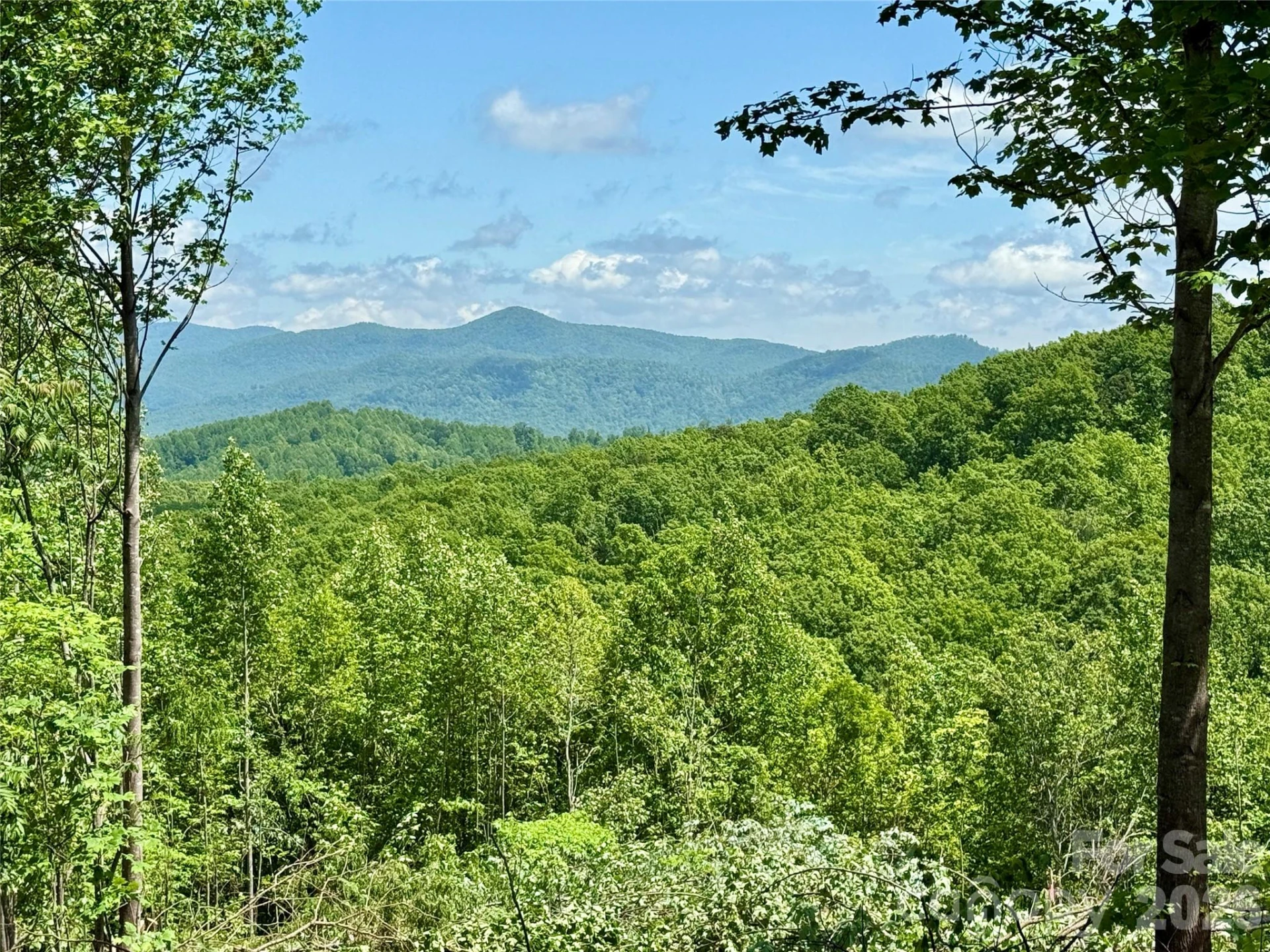 1143 Grandview Peaks Drive