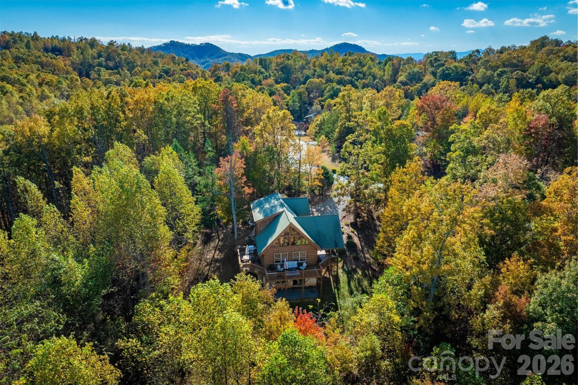 1143 Grandview Peaks Drive - Photo 9