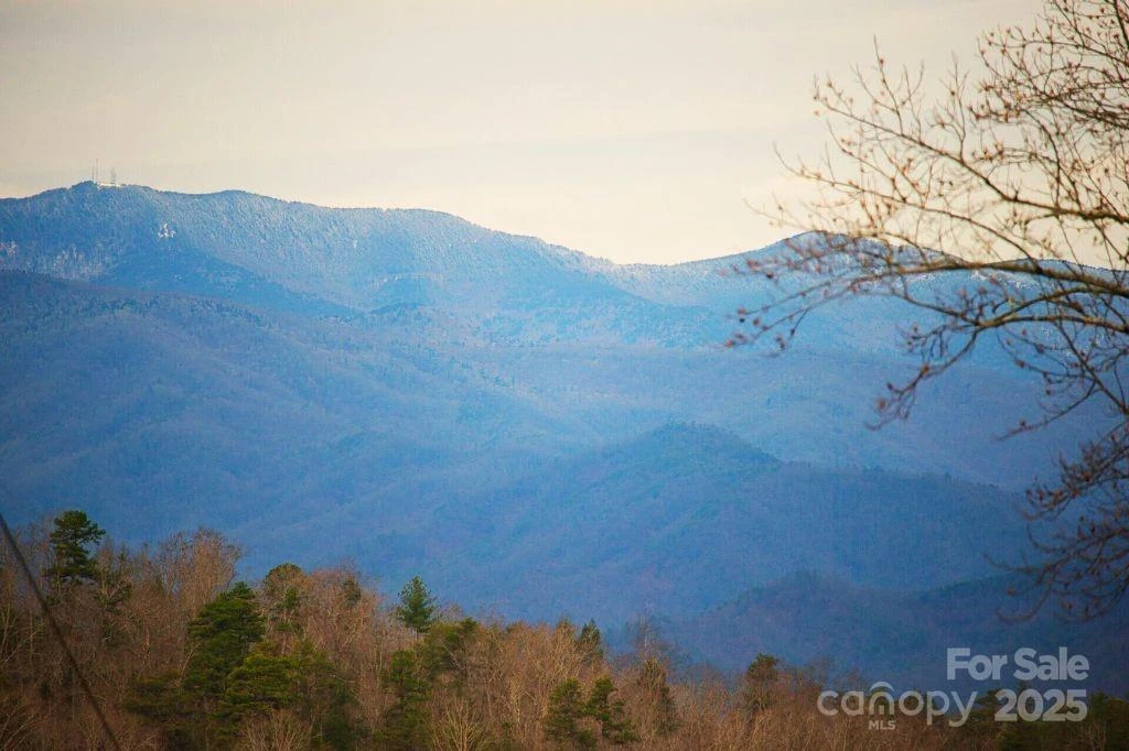 00 Jarrell Loop - Photo 2