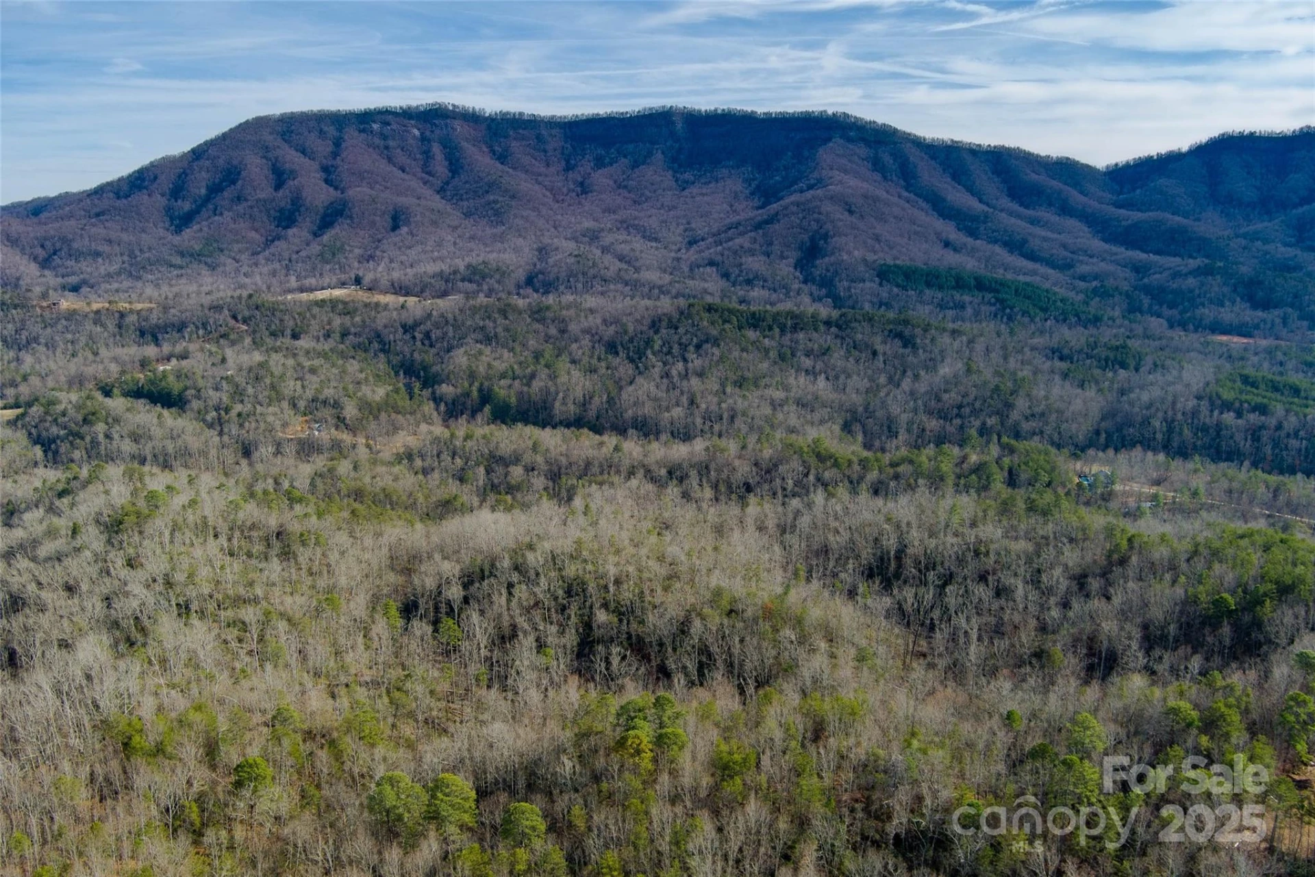 00 Jarrell Loop - Photo 14